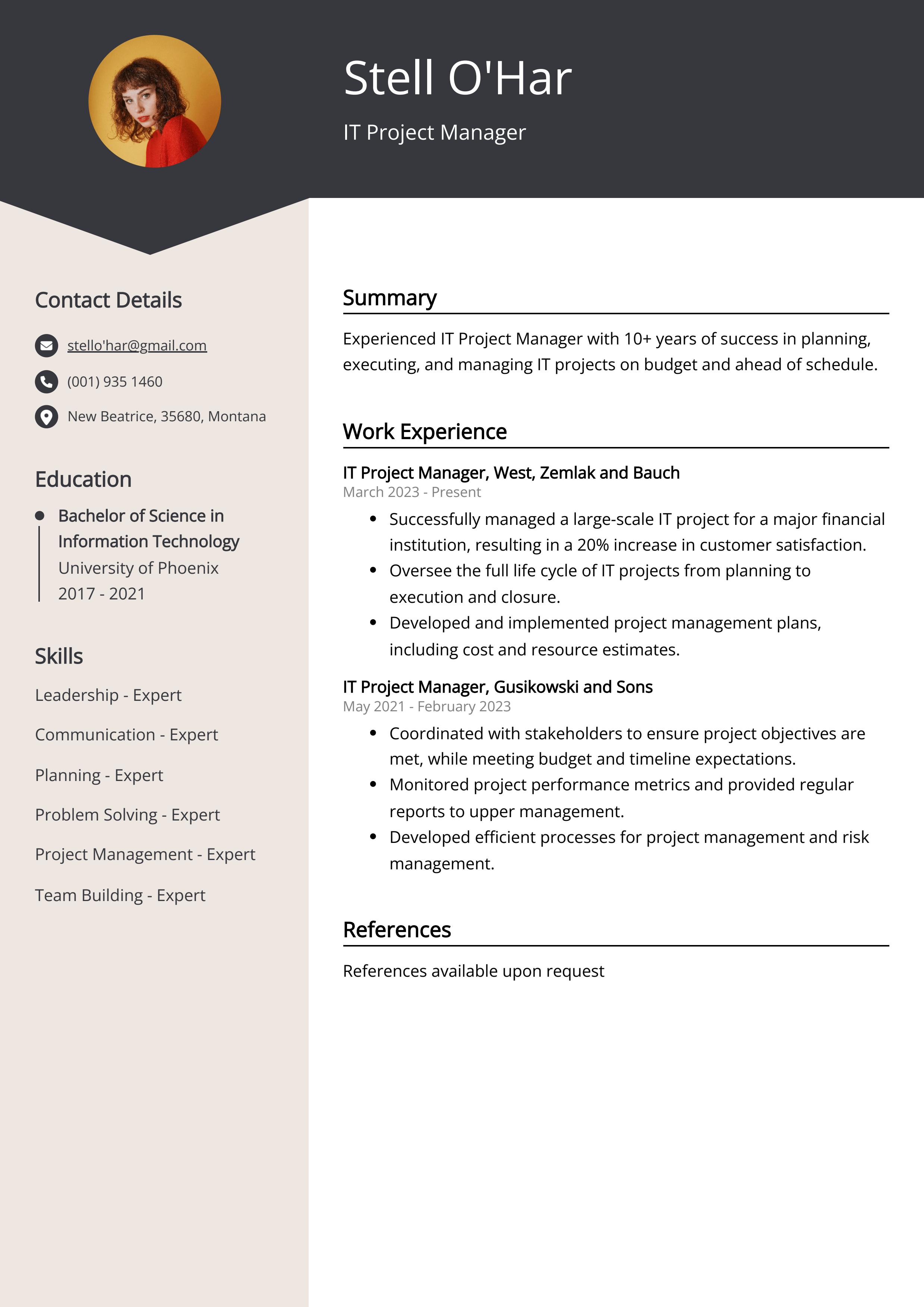 IT Project Manager Resume Example