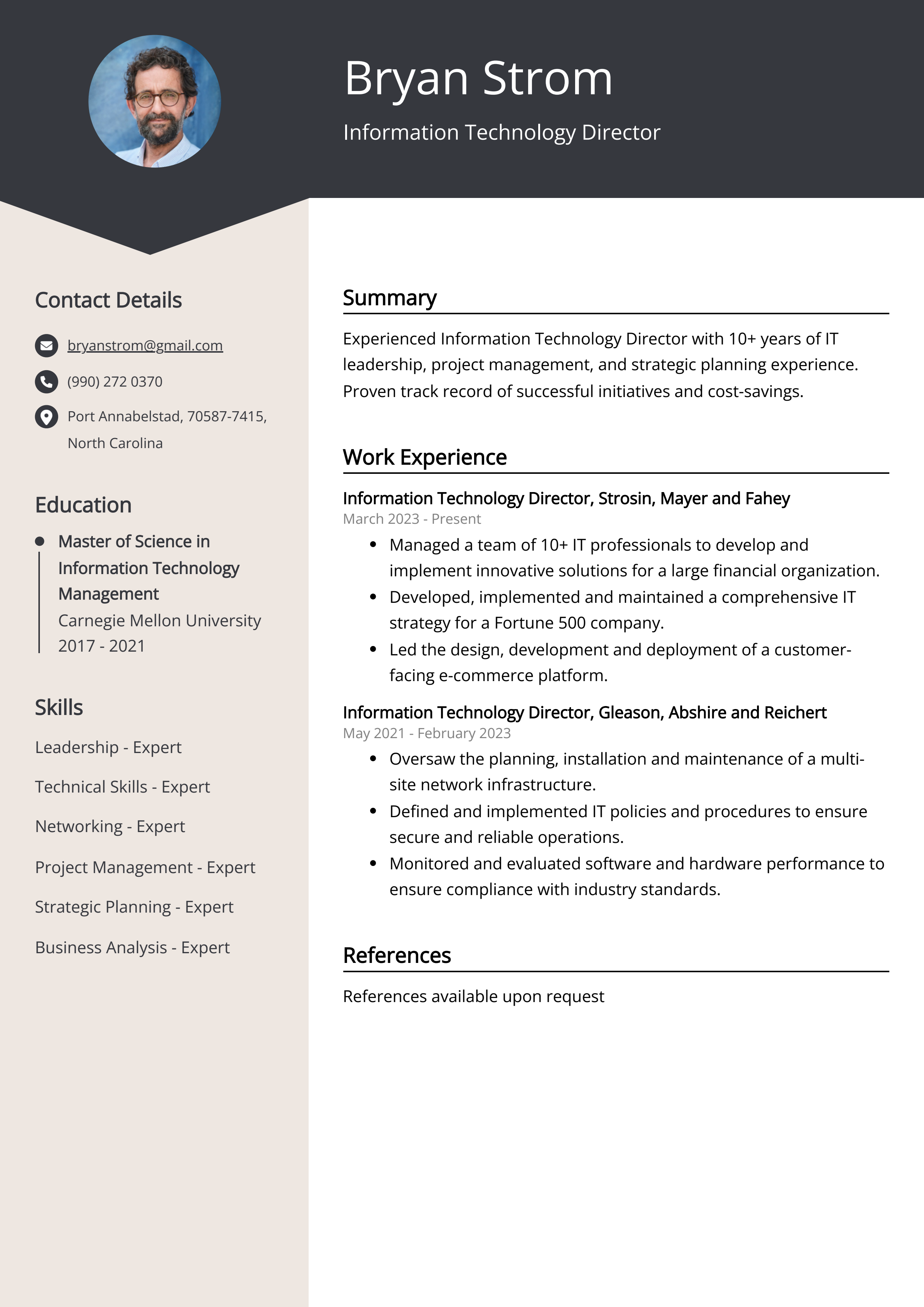 Information Technology Director Resume Example