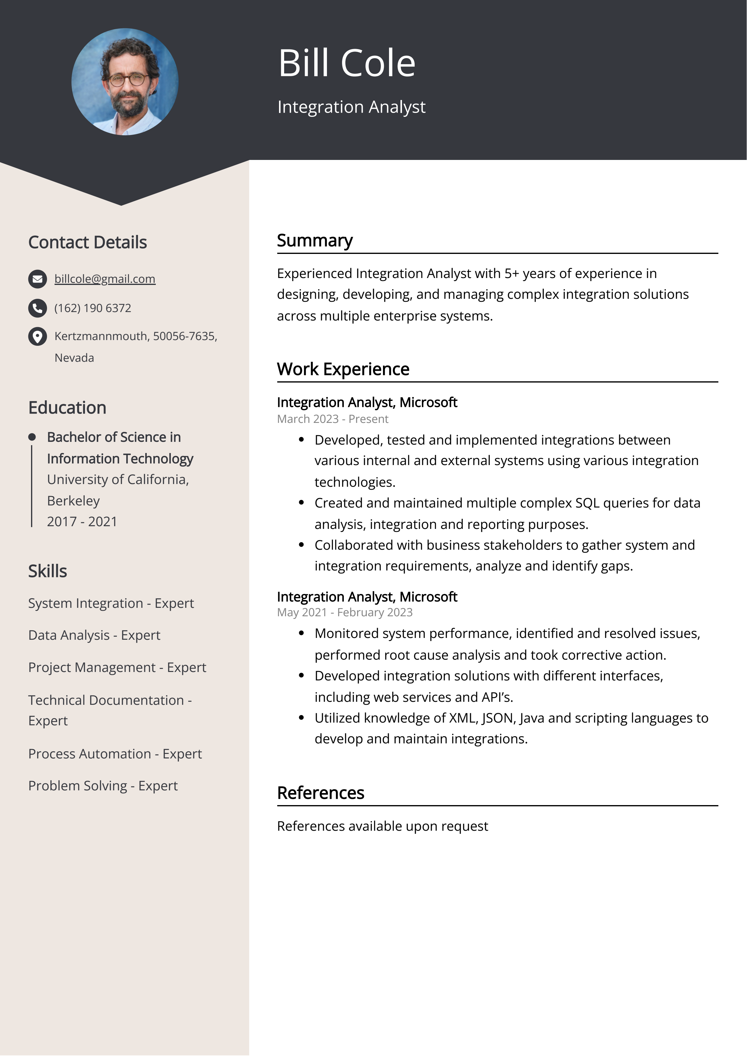 Integration Analyst Resume Example