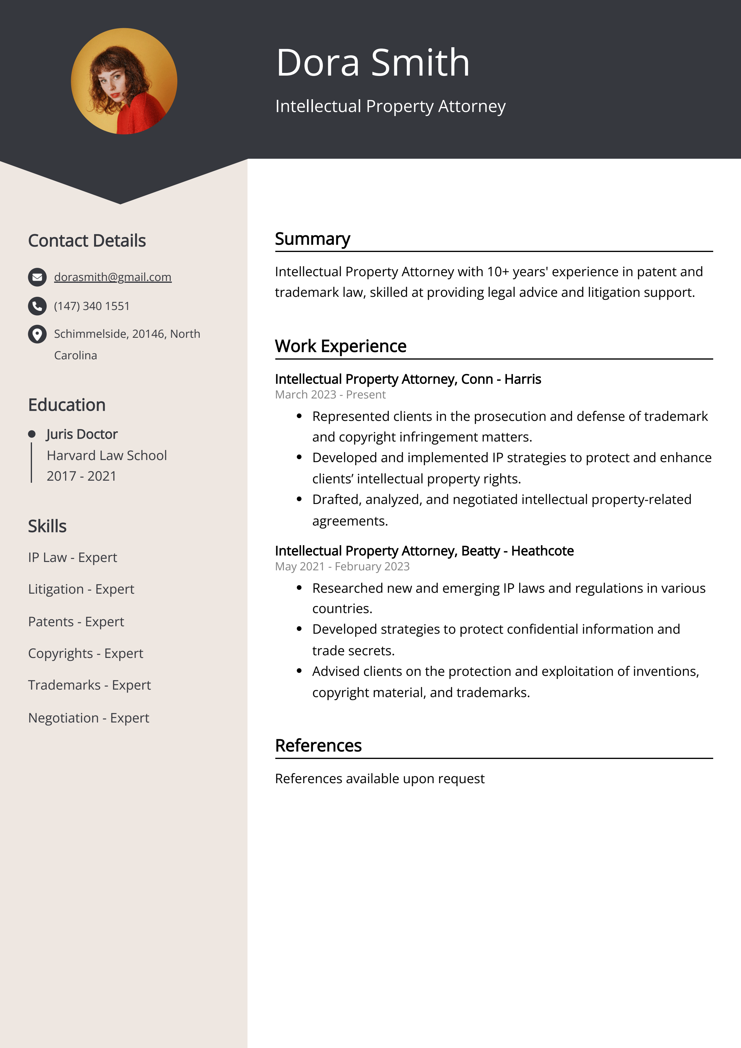 Intellectual Property Attorney Resume Example