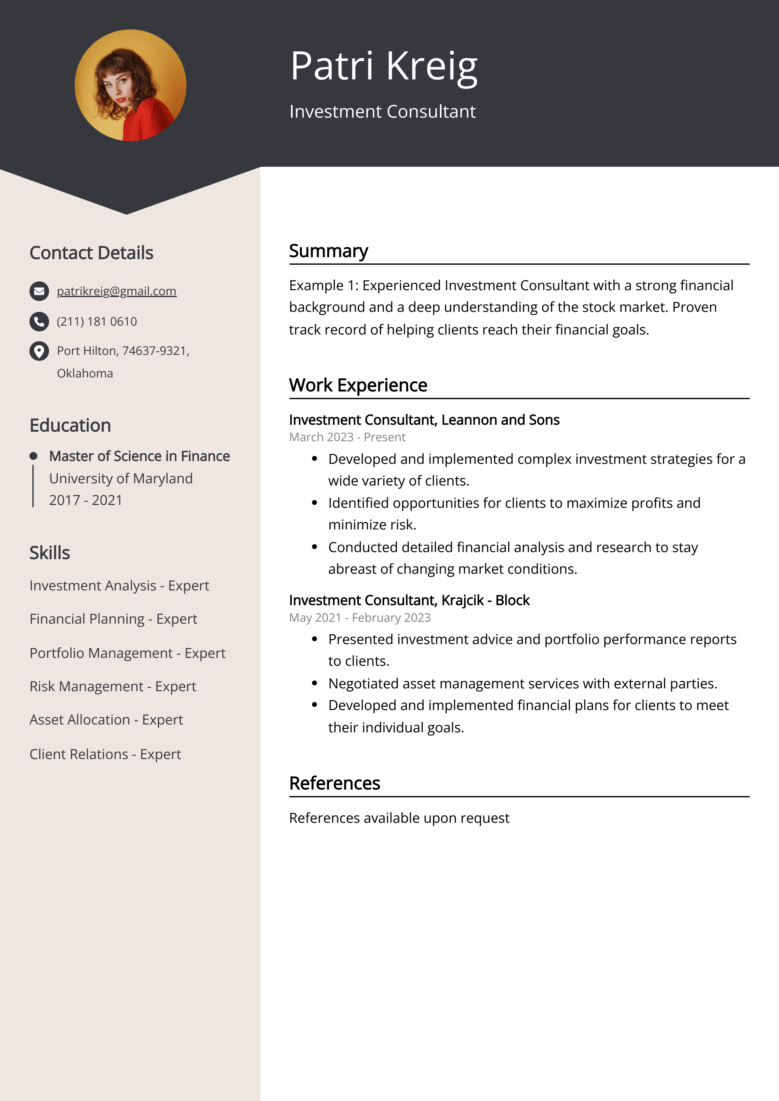 Investment Consultant Resume Example