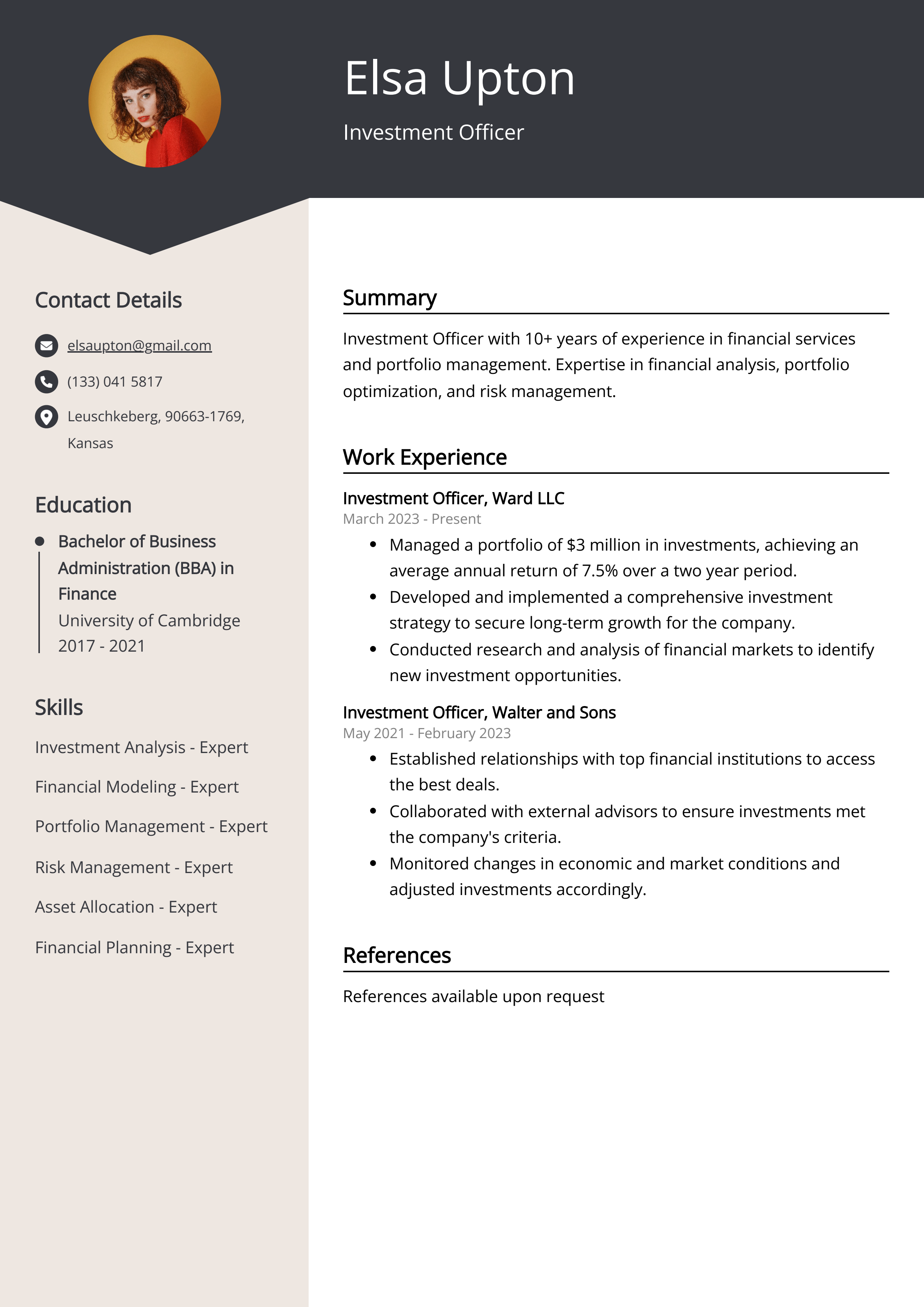 Investment Officer Resume Example