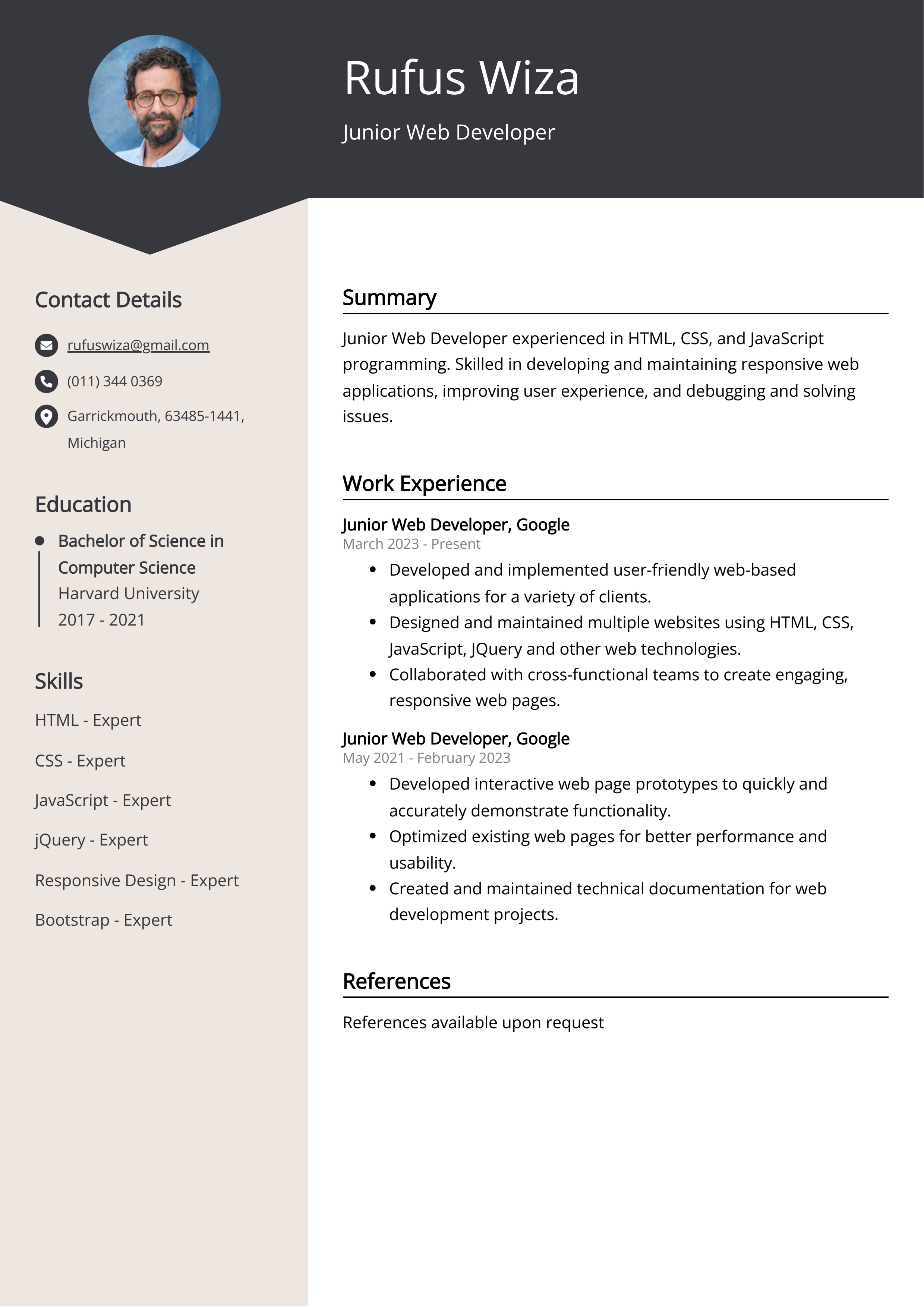 Junior Web Developer Resume Example
