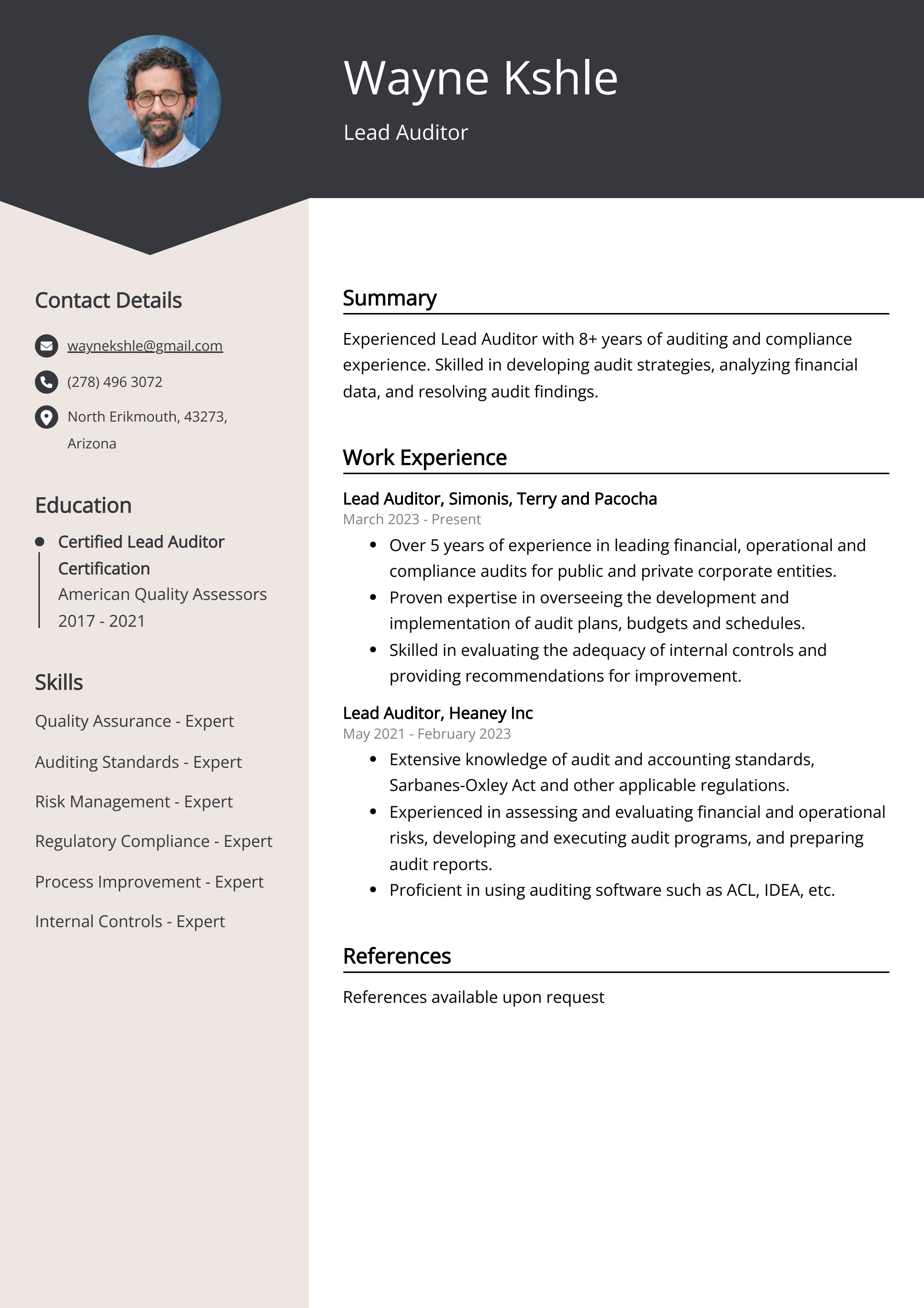 Lead Auditor Resume Example