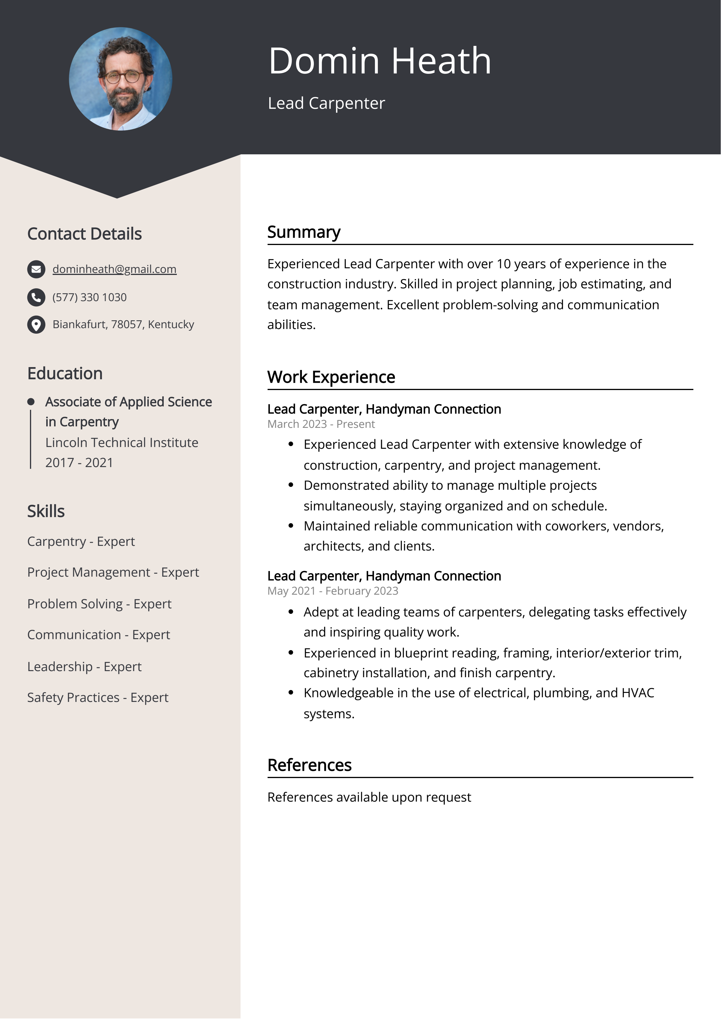 Lead Carpenter Resume Example