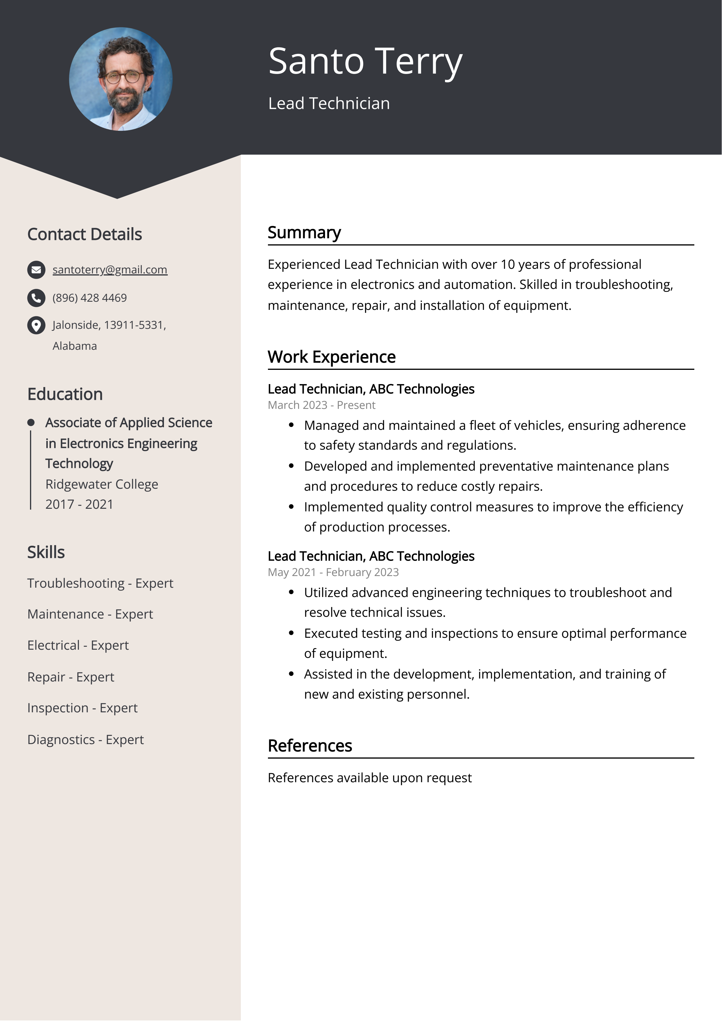 Lead Technician Resume Example