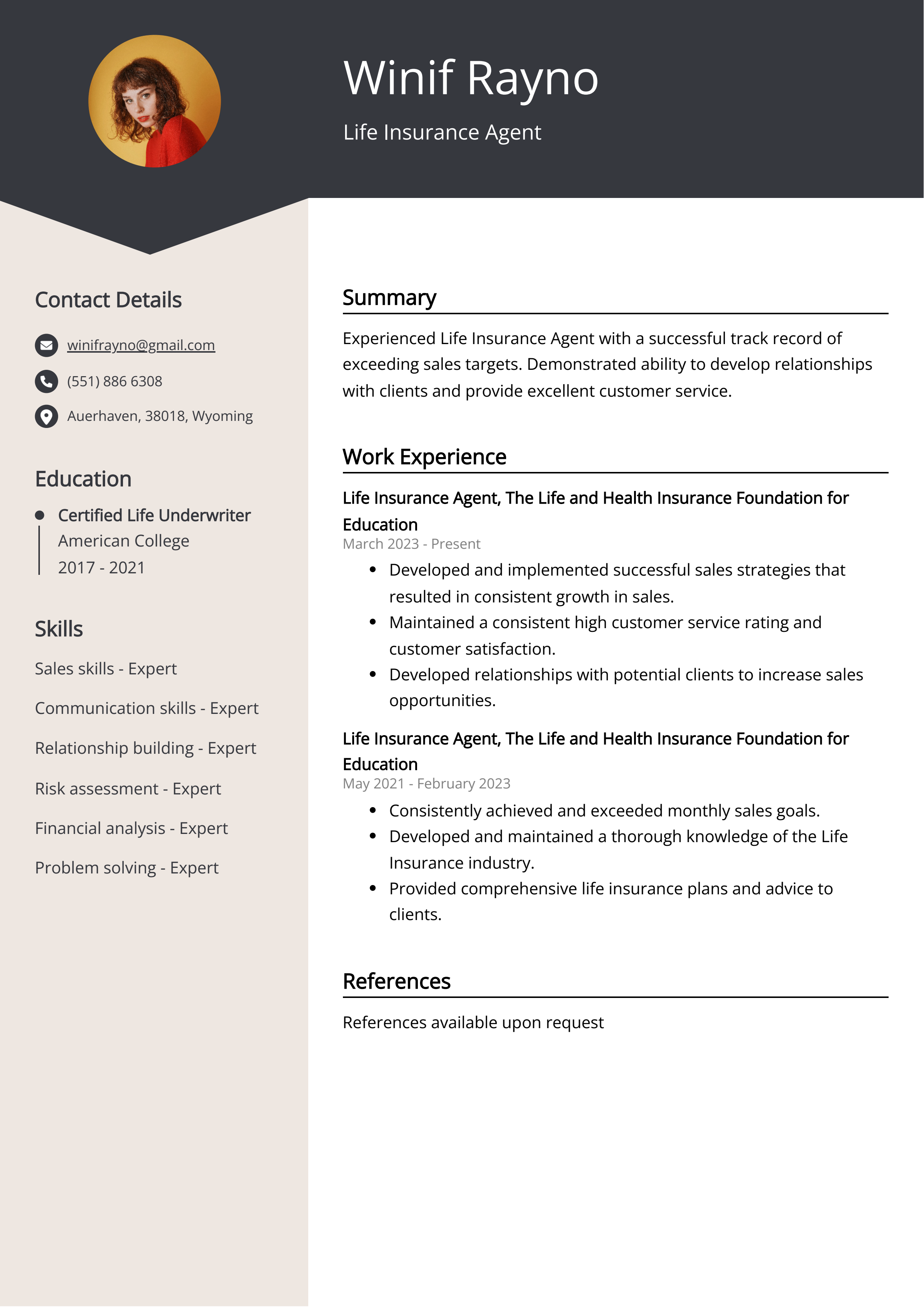 Life Insurance Agent Resume Example