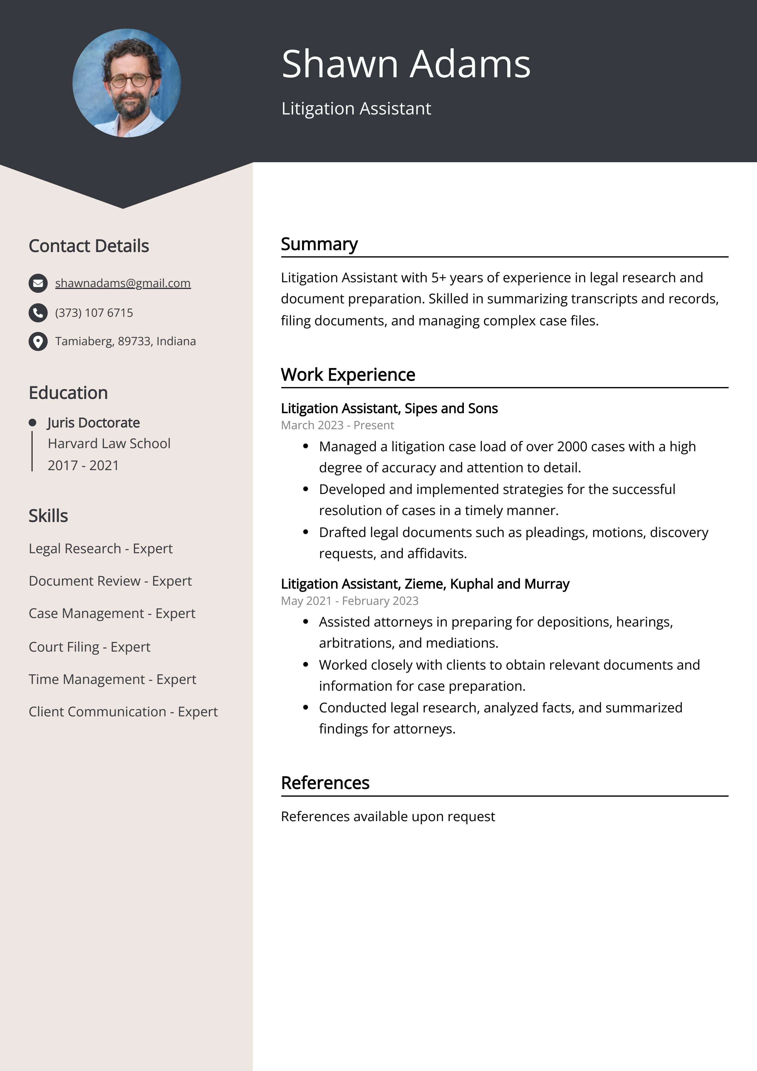 Litigation Assistant Resume Example
