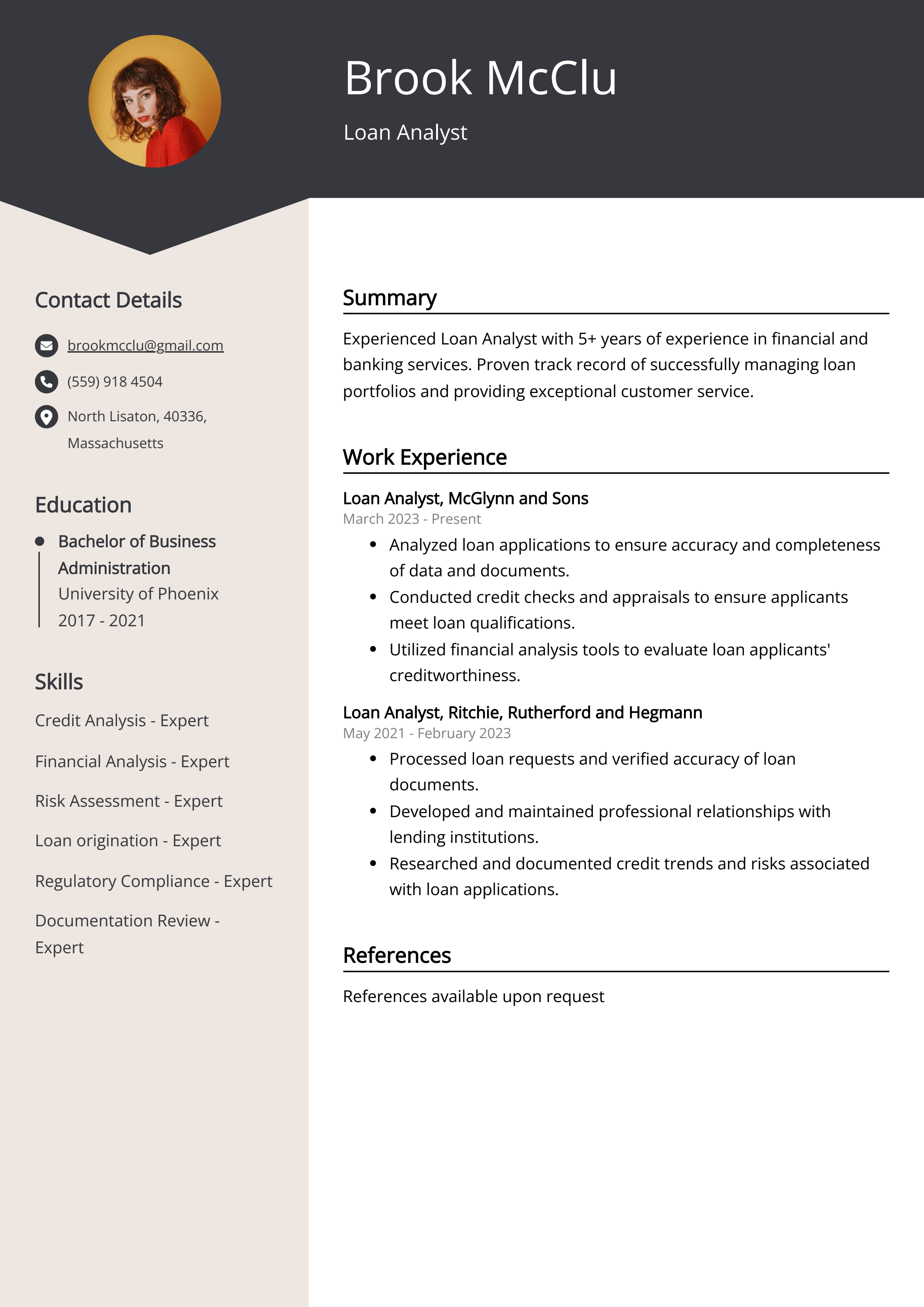 Loan Analyst Resume Example