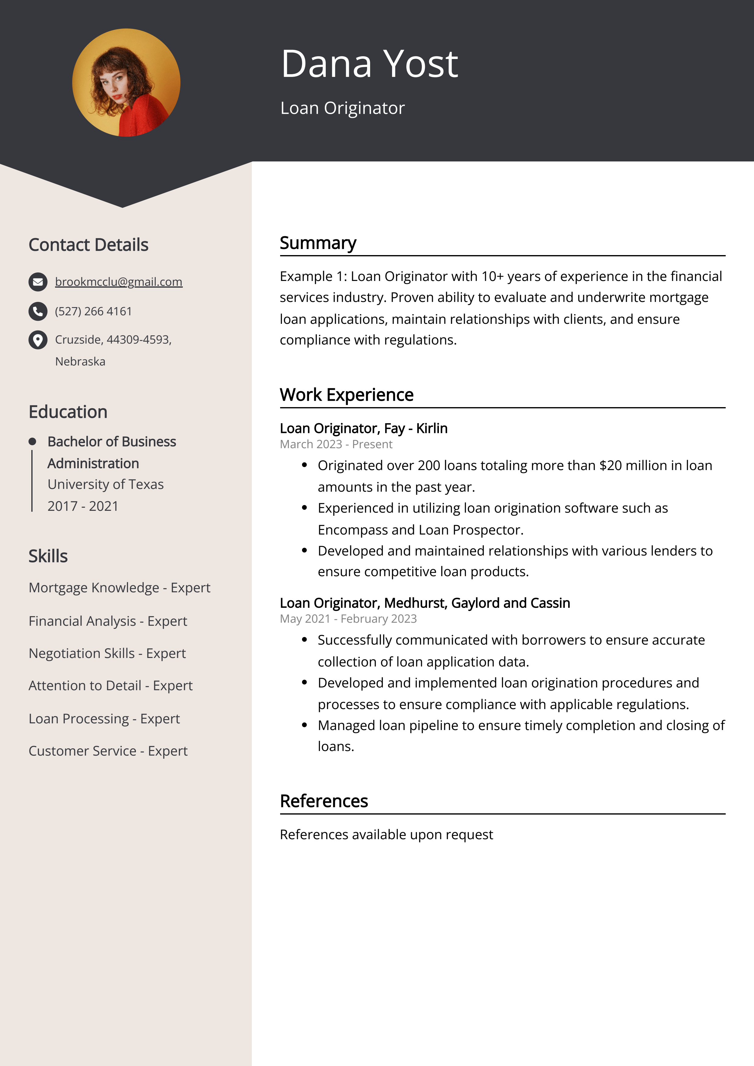 Loan Originator Resume Example