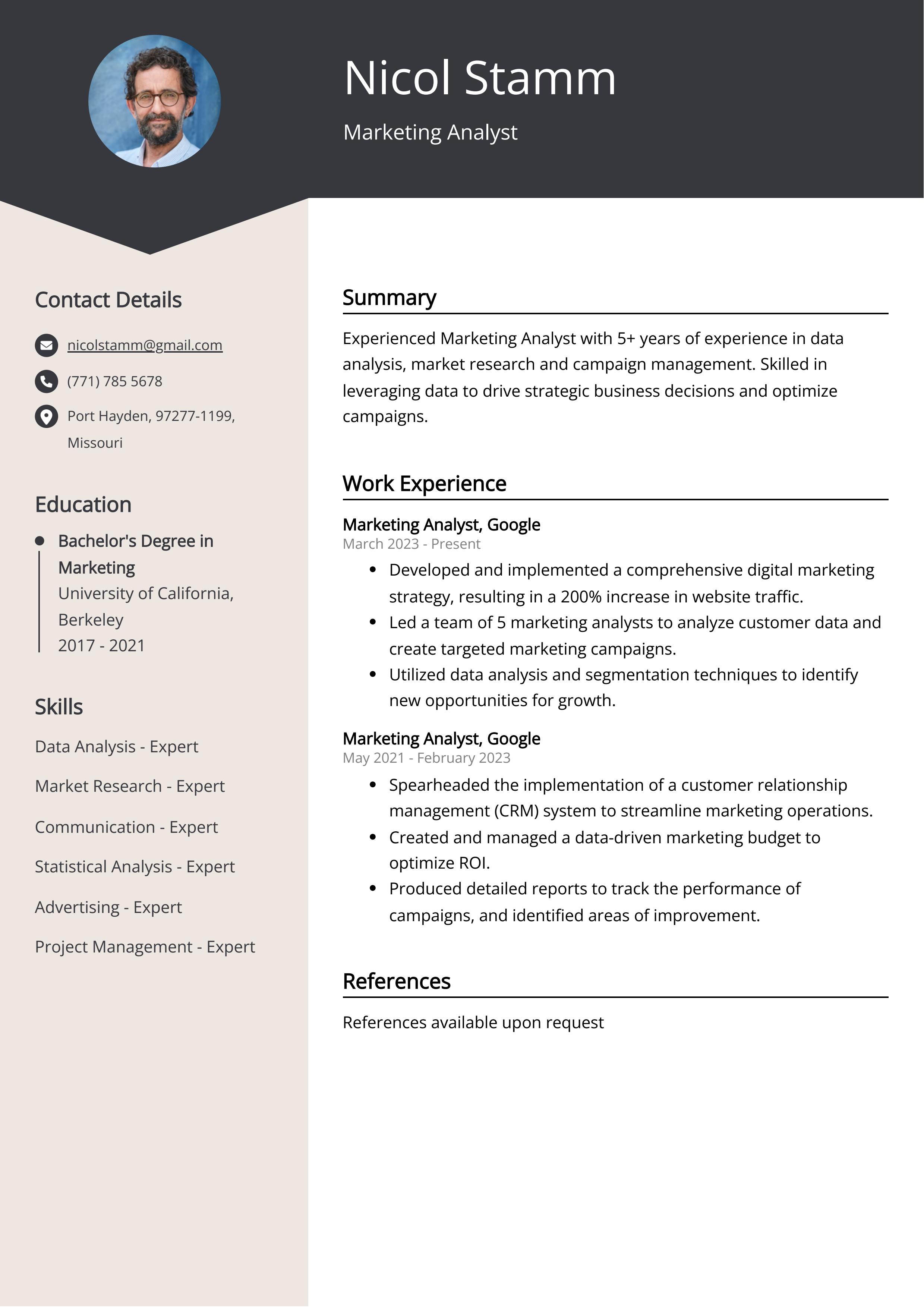 Marketing Analyst Resume Example