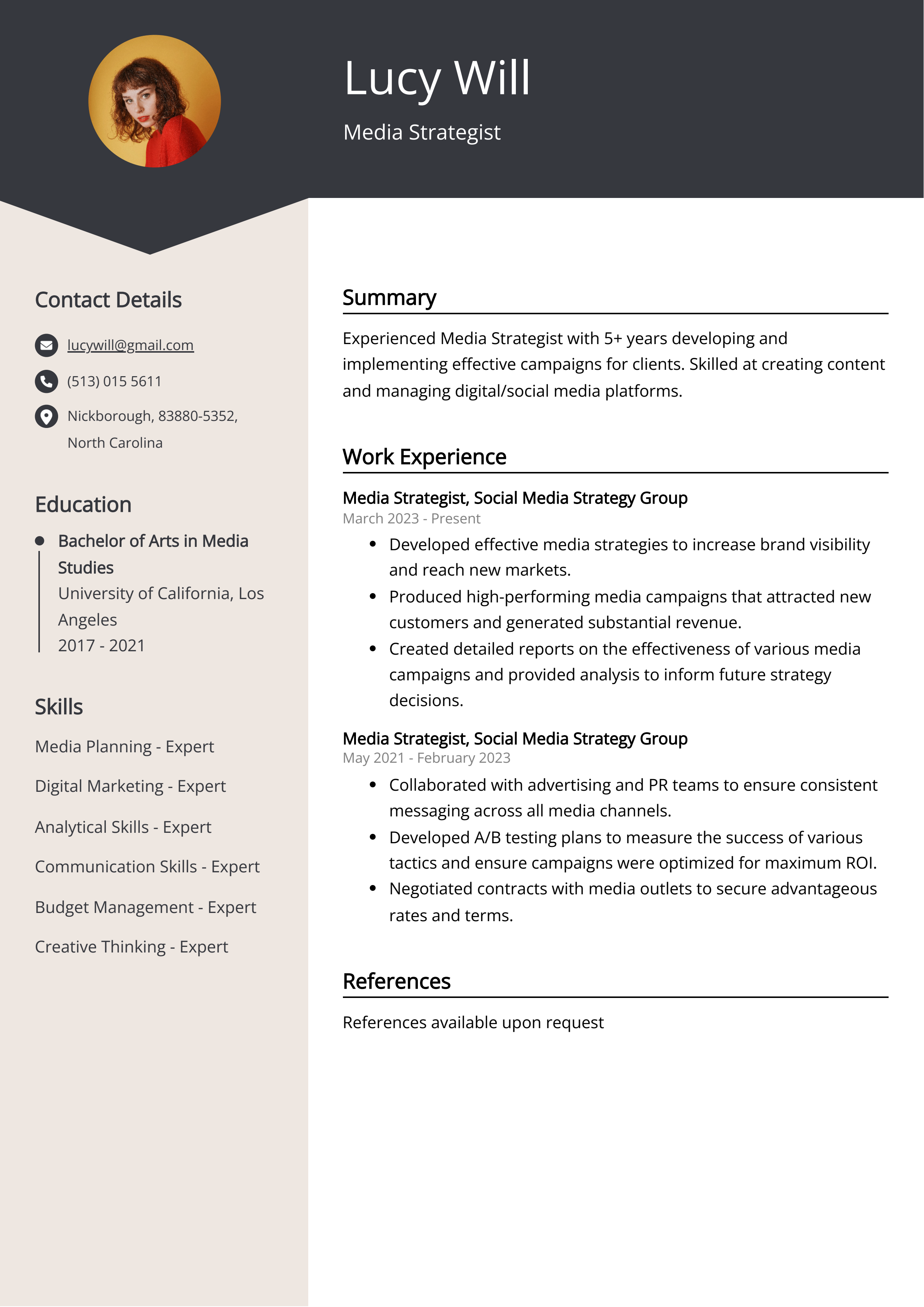 Media Strategist Resume Example