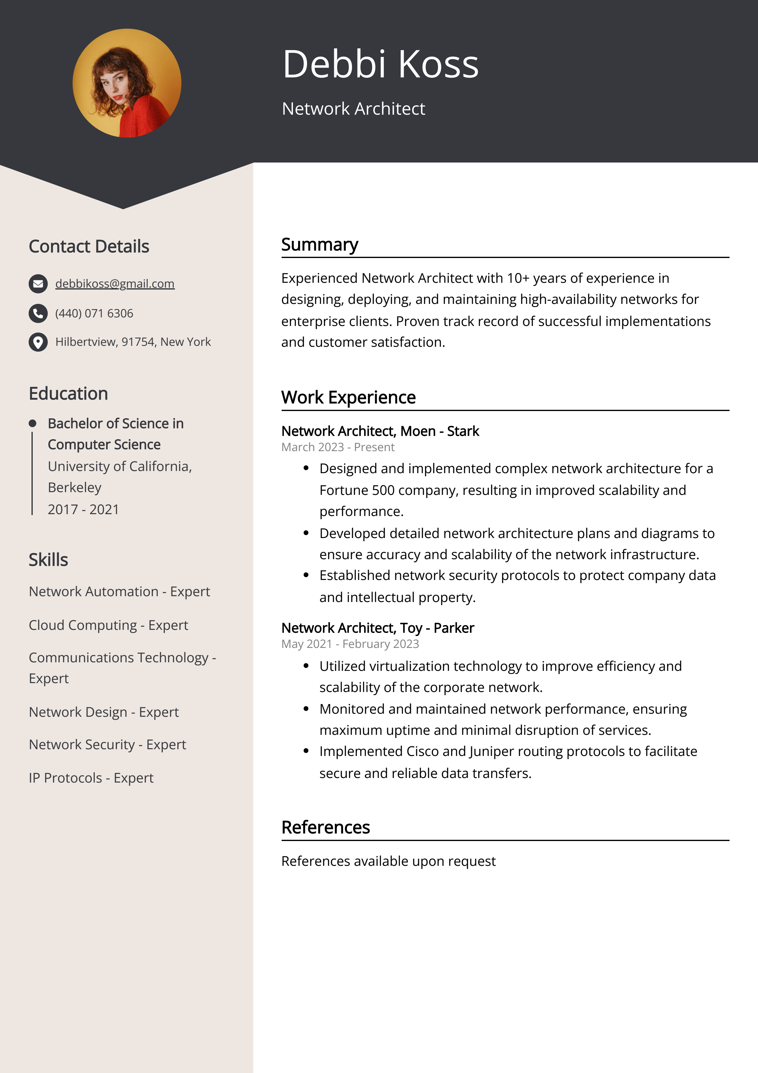 Network Architect Resume Example