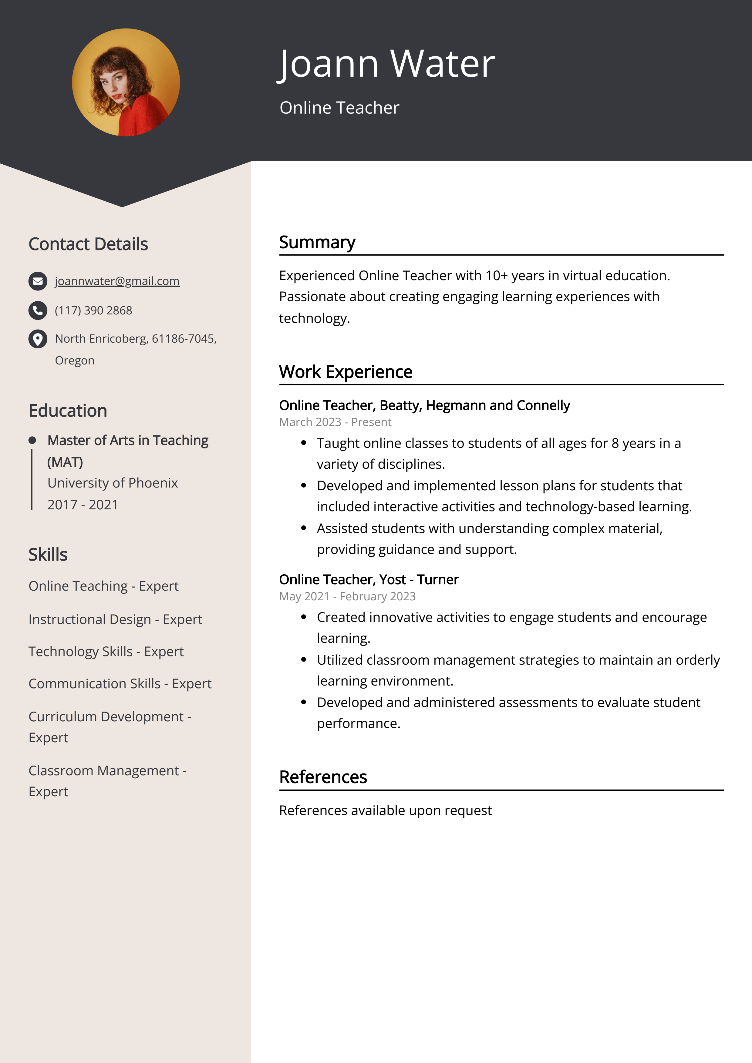 Online Teacher Resume Example