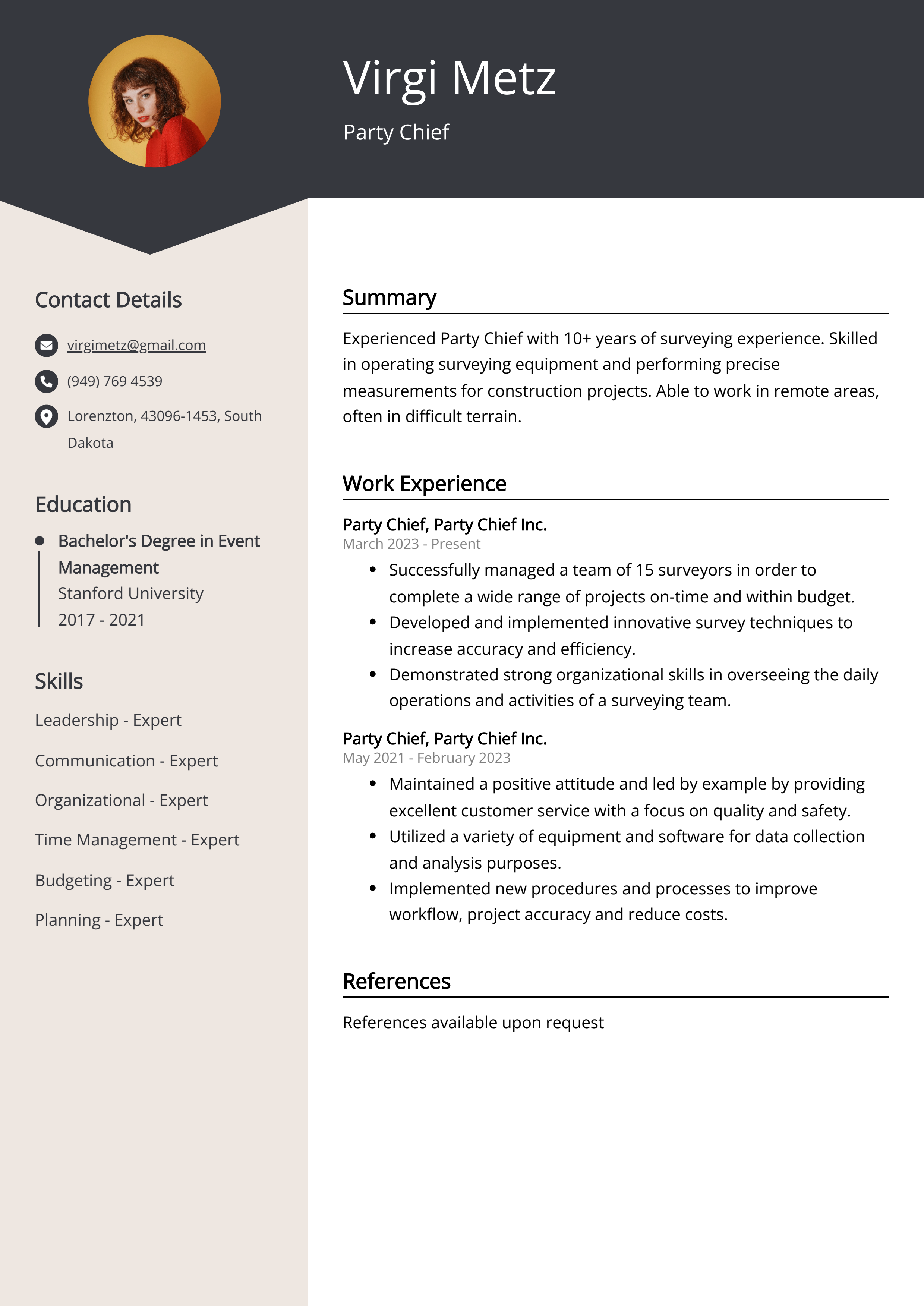 Party Chief Resume Example