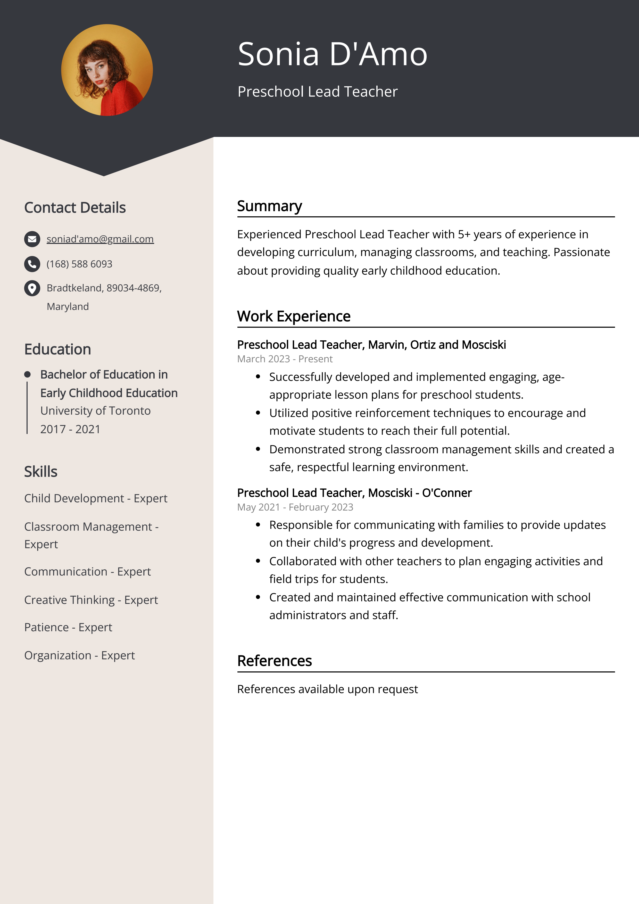 Preschool Lead Teacher Resume Example