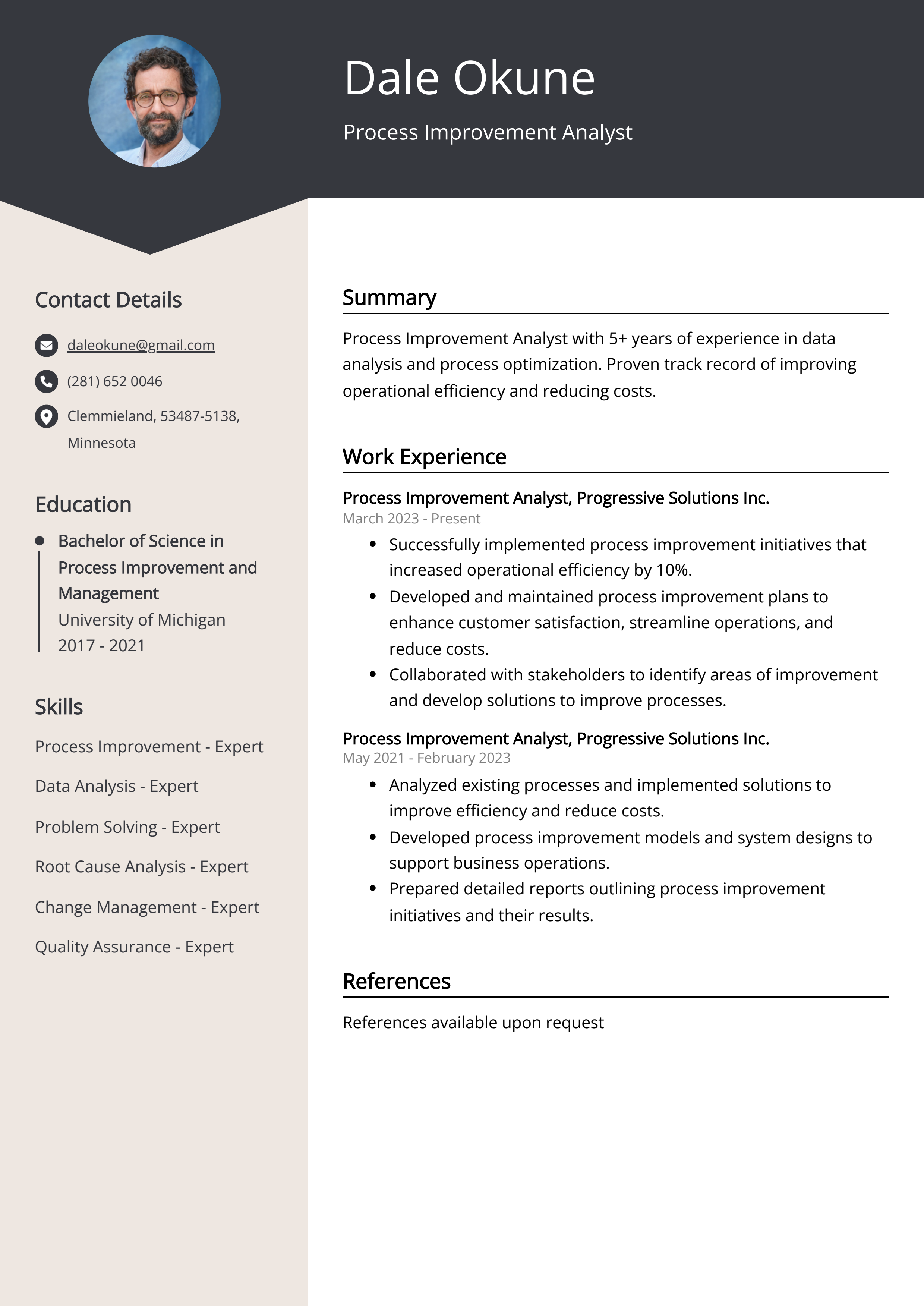 Process Improvement Analyst Resume Example