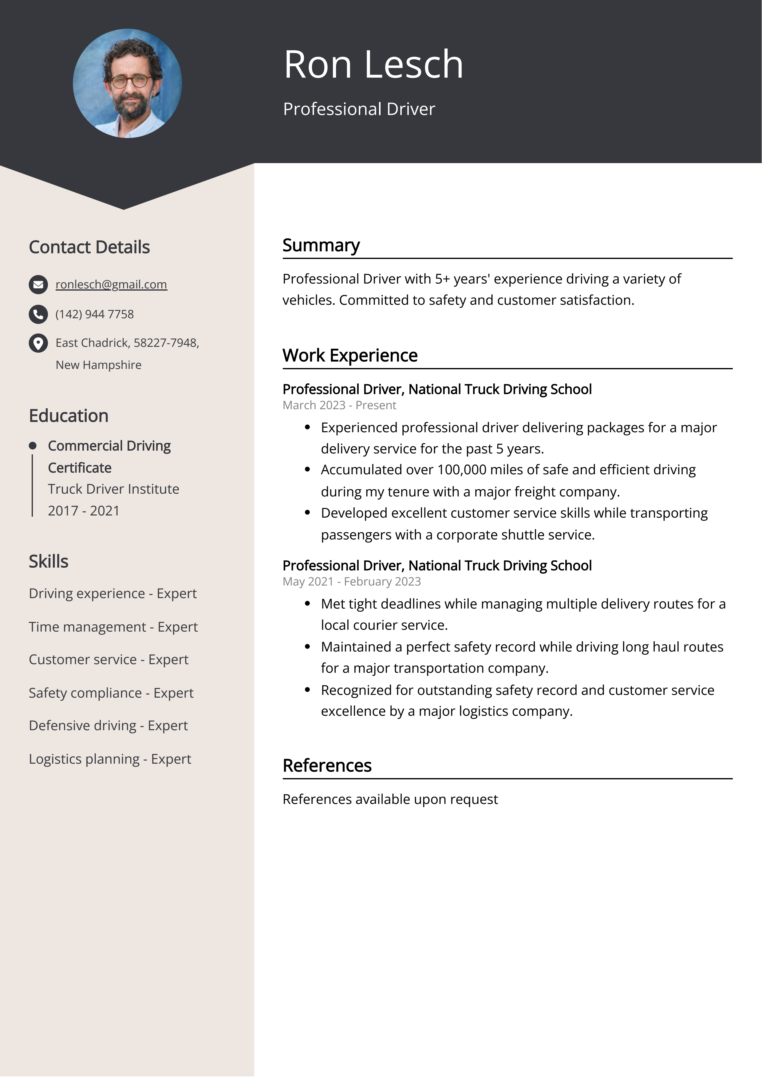 Professional Driver Resume Example