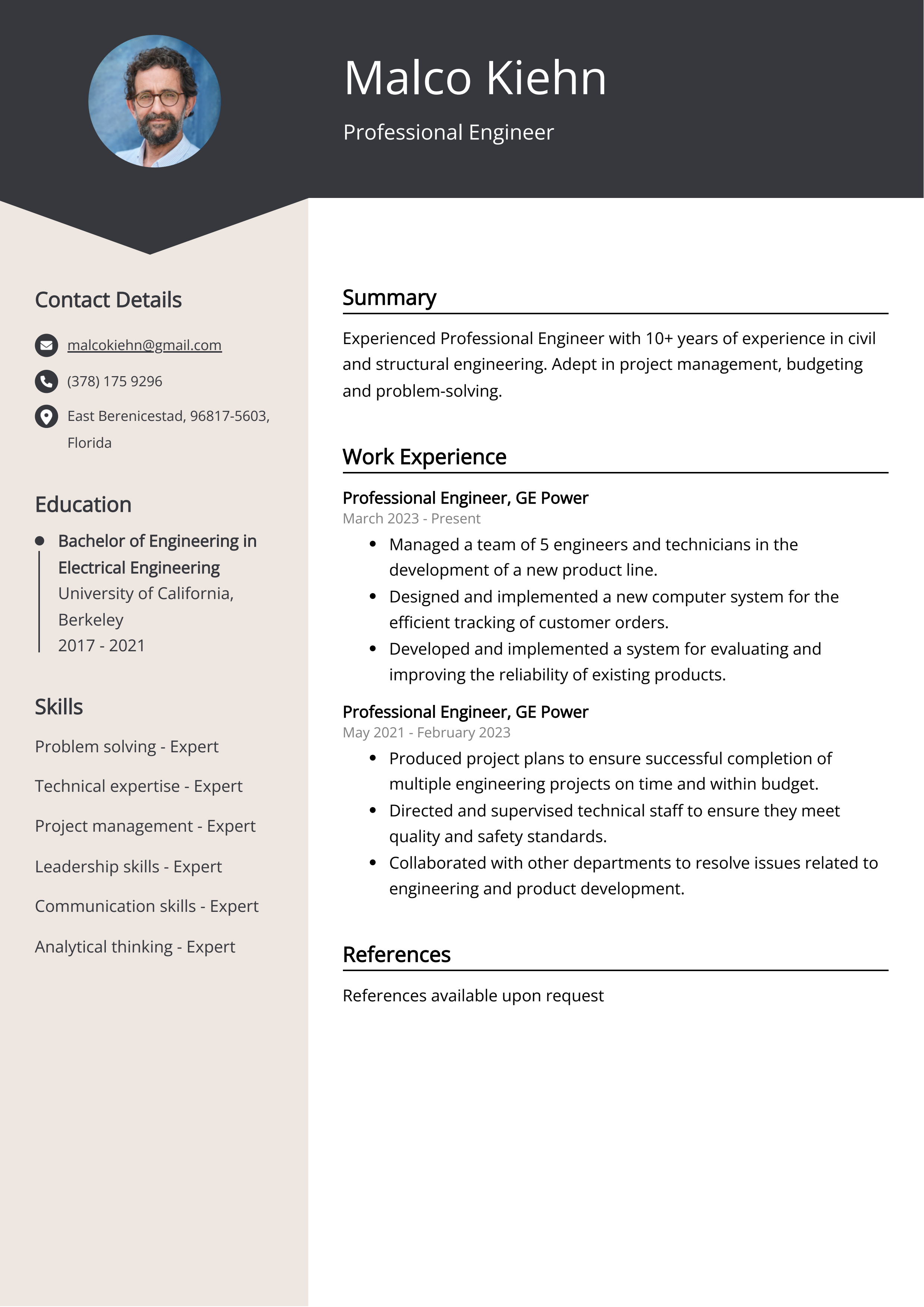 Professional Engineer Resume Example