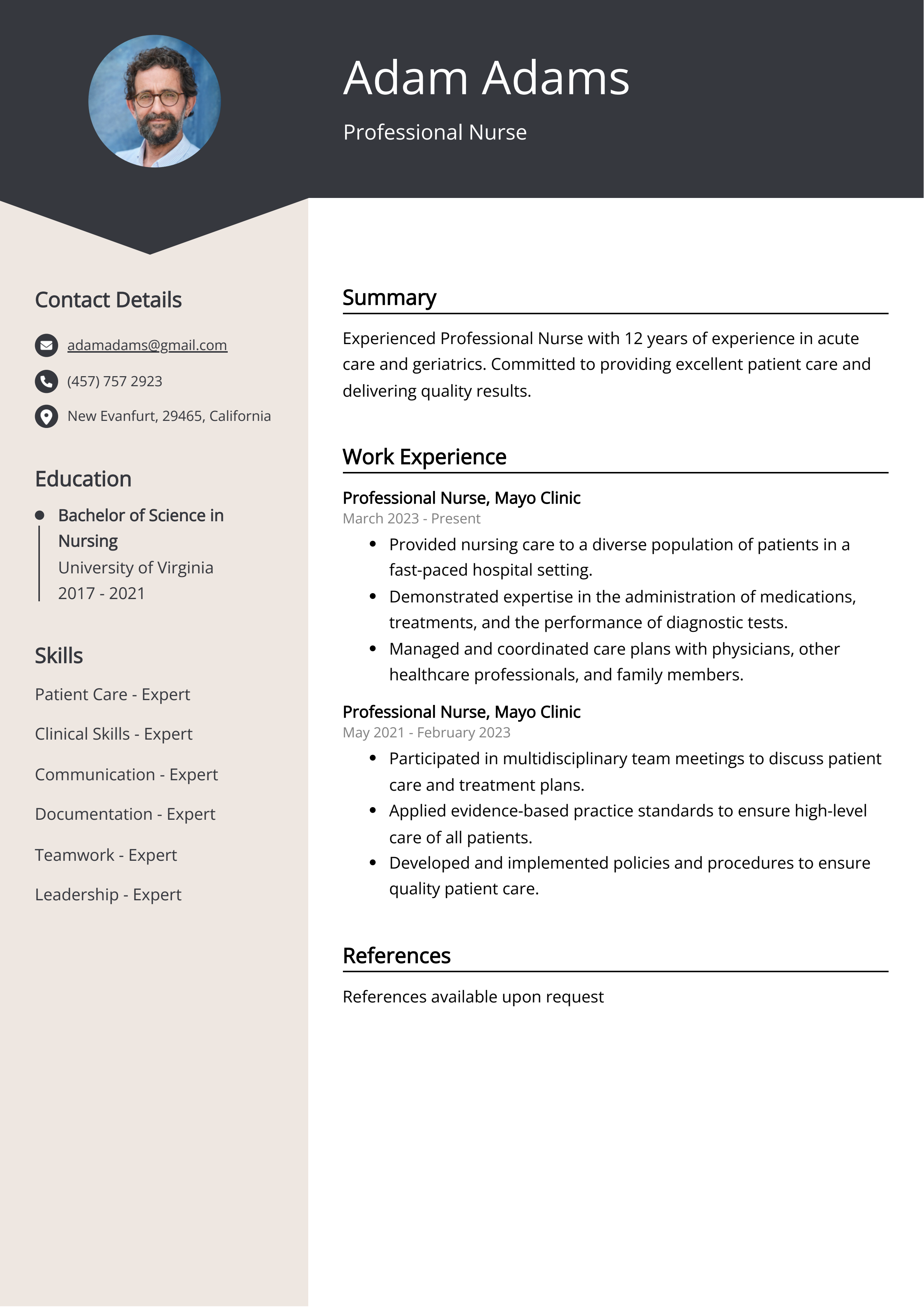 Professional Nurse Resume Example