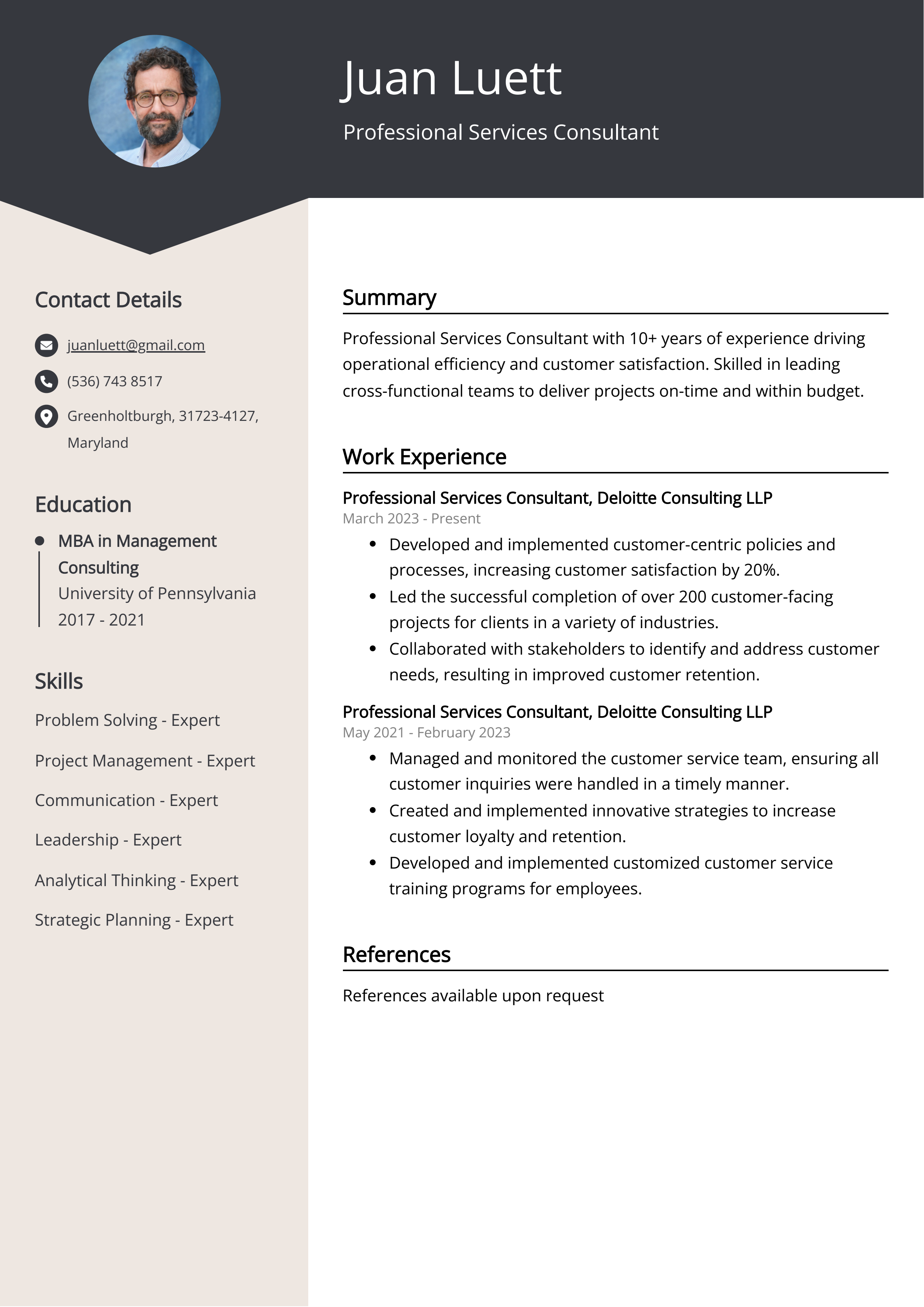 Professional Services Consultant Resume Example