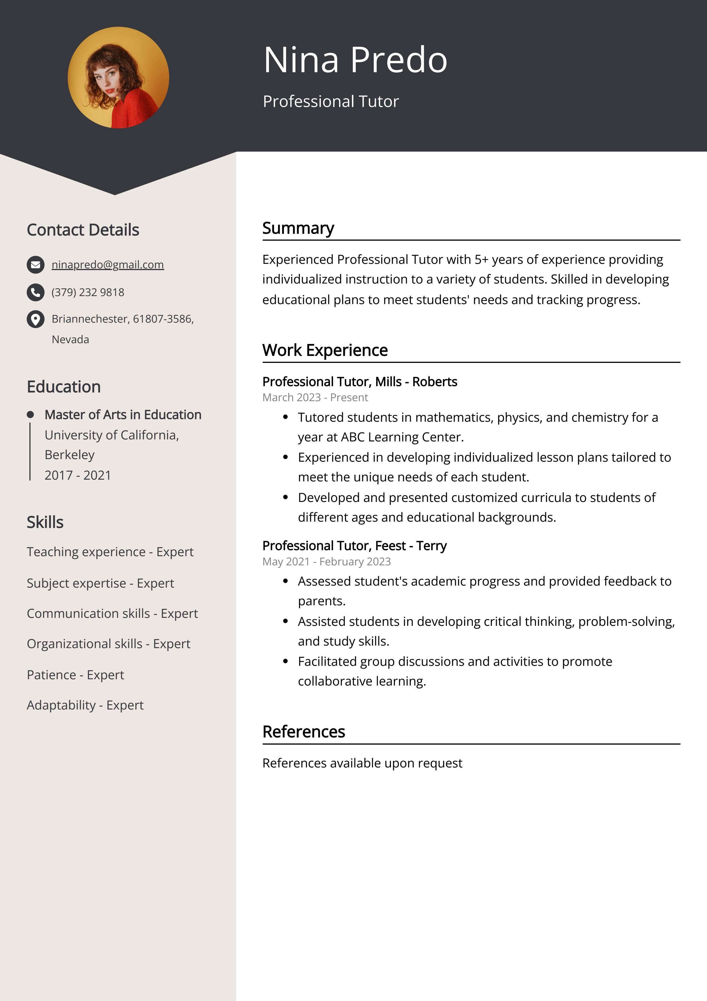 Professional Tutor Resume Example