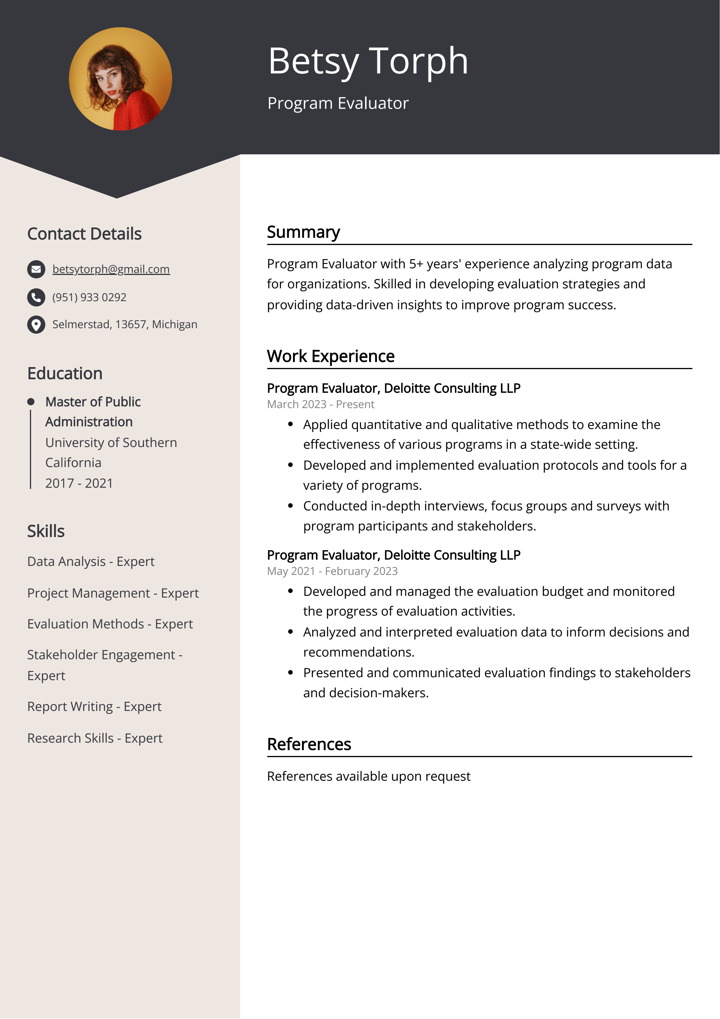 Program Evaluator Resume Example