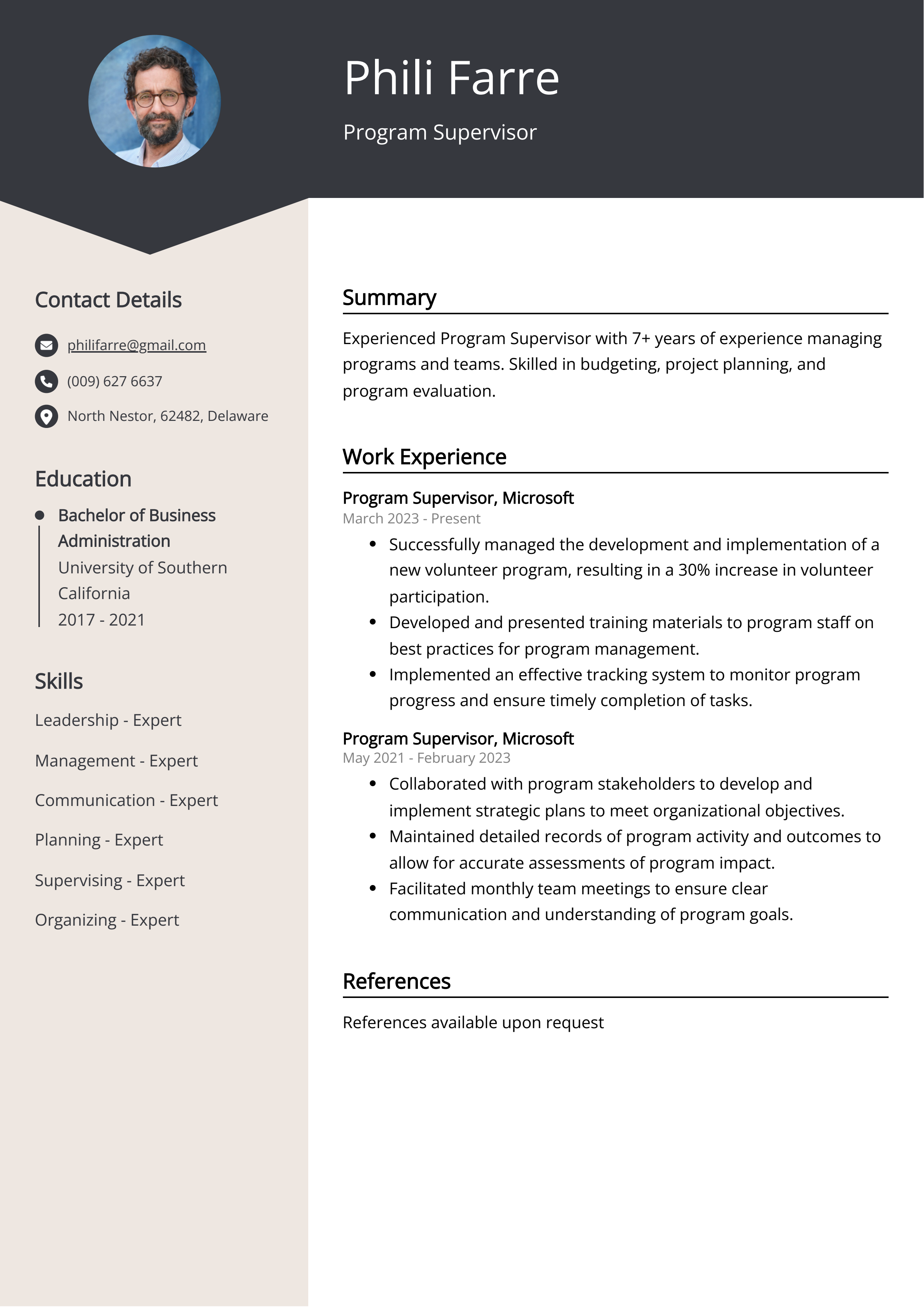 Program Supervisor Resume Example