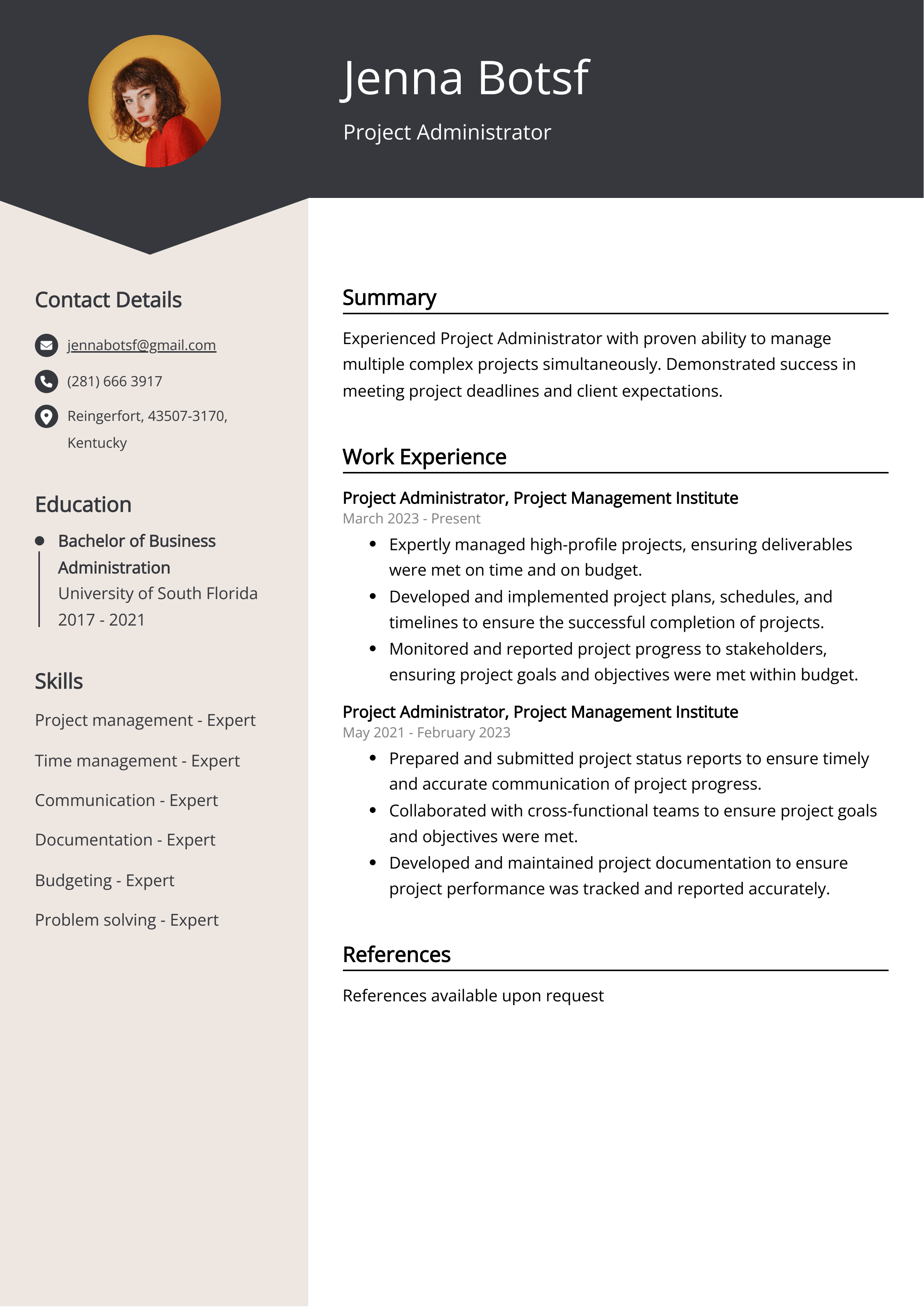 Project Administrator Resume Example