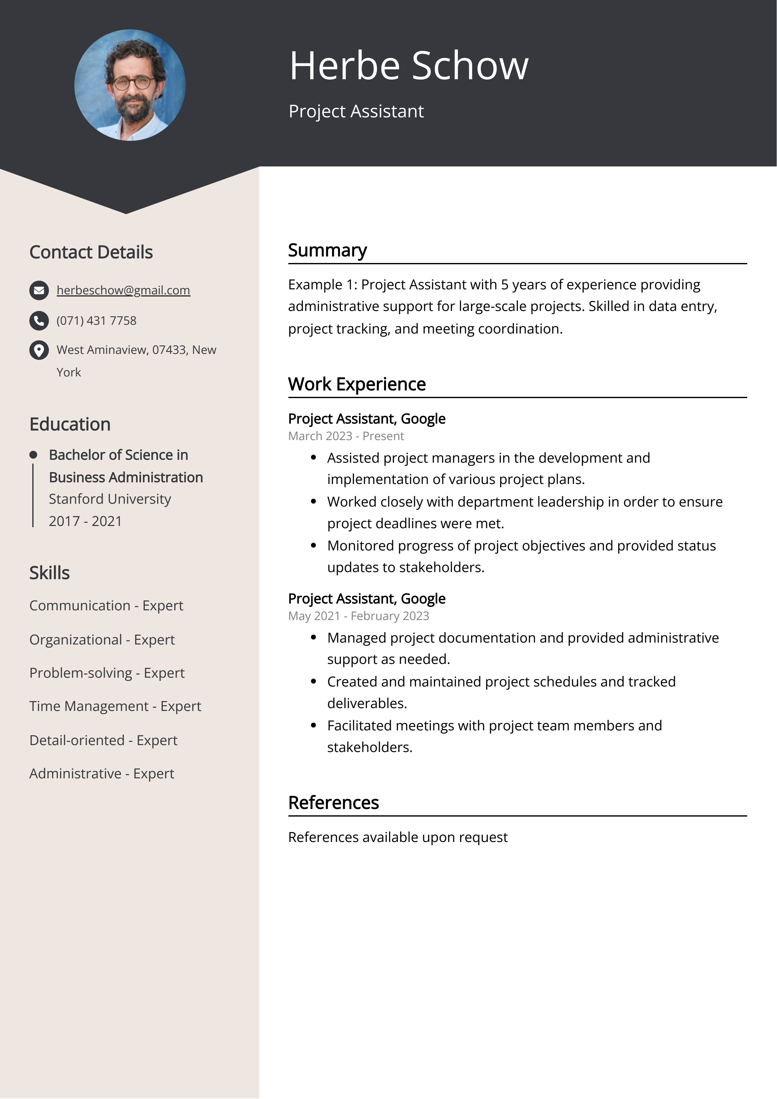 Project Assistant Resume Example