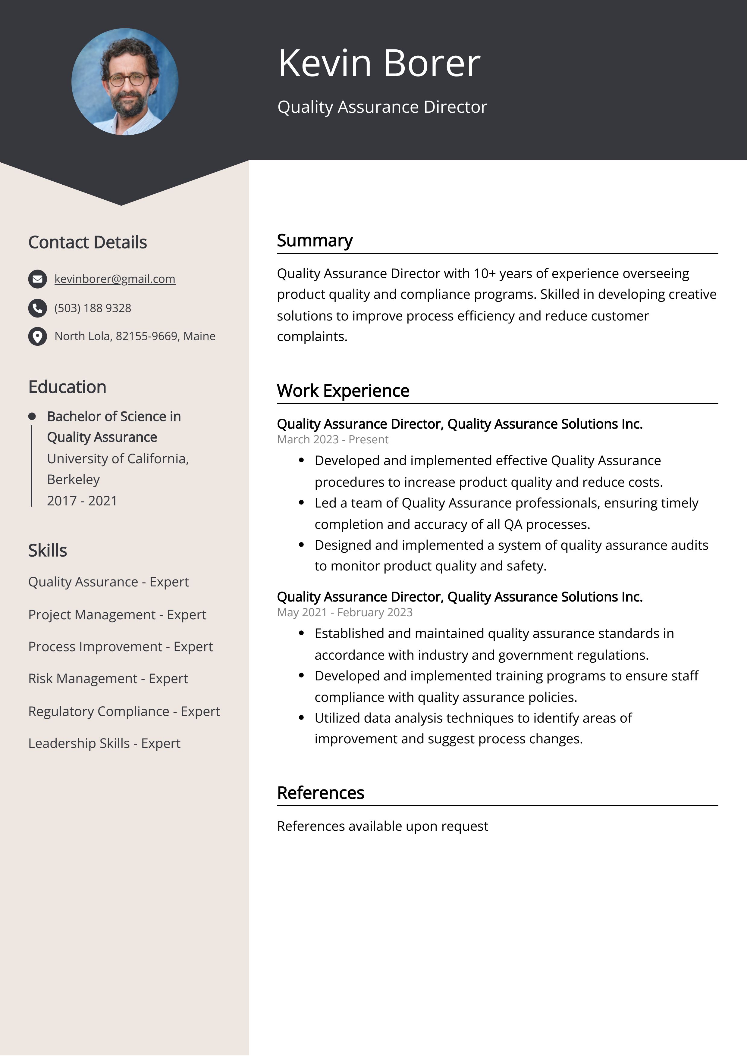 free resume templates for experienced it professionals