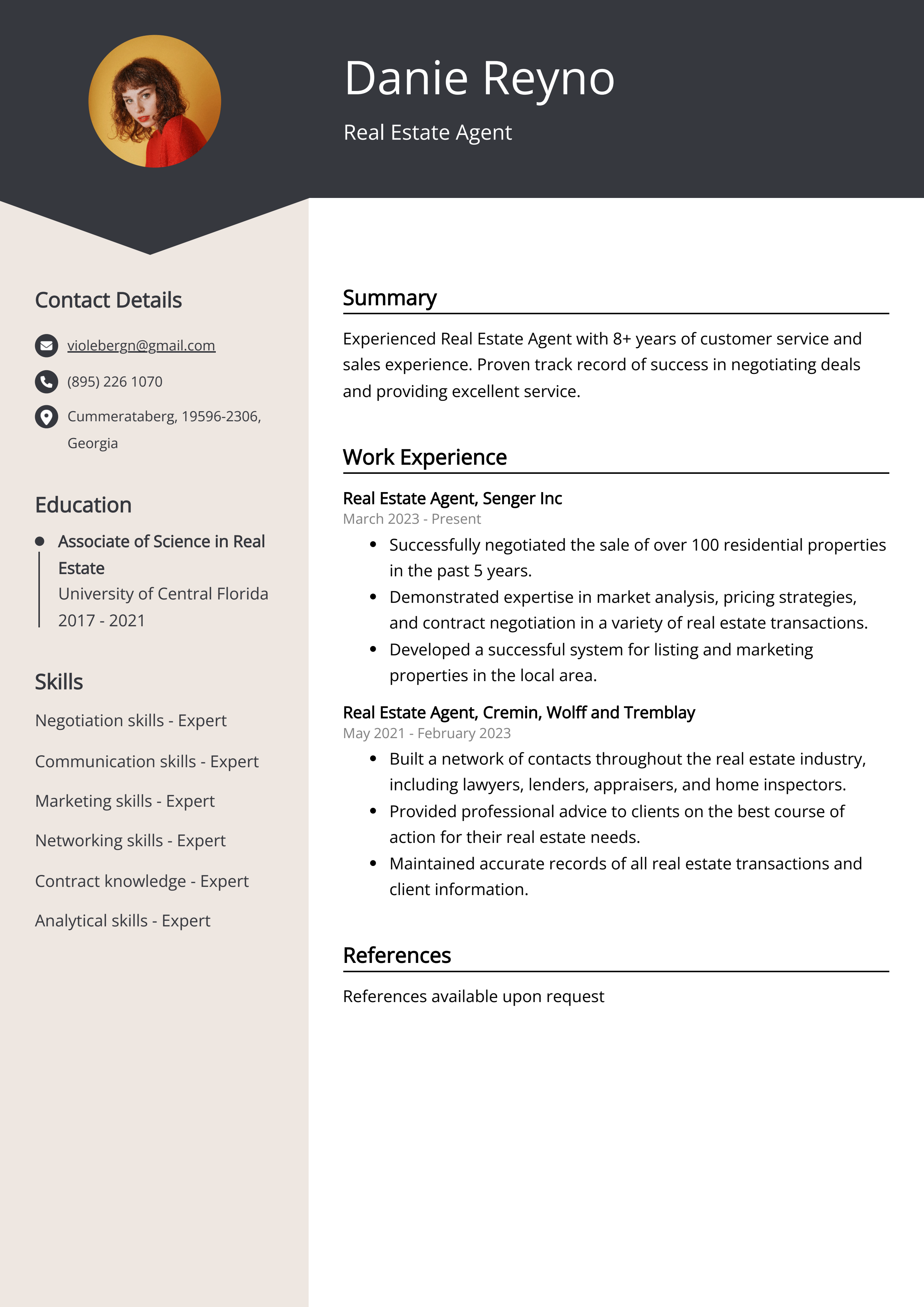 Experienced Real Estate Agent Resume Example