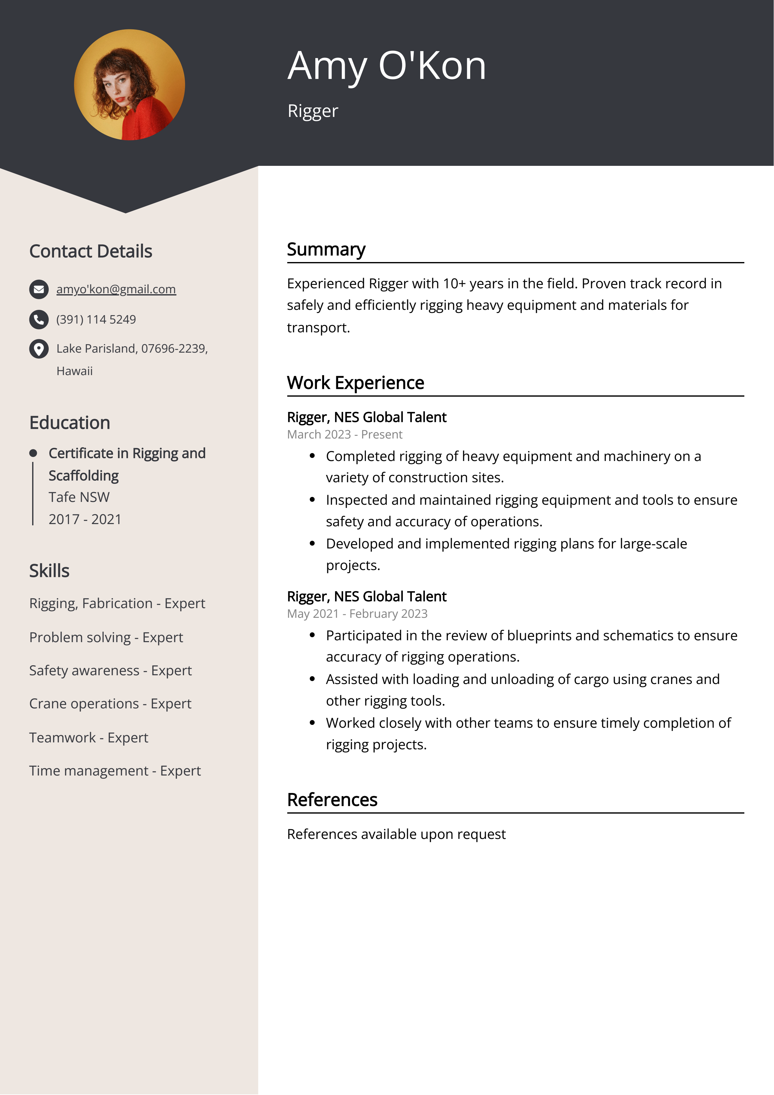 Rigger Resume Example