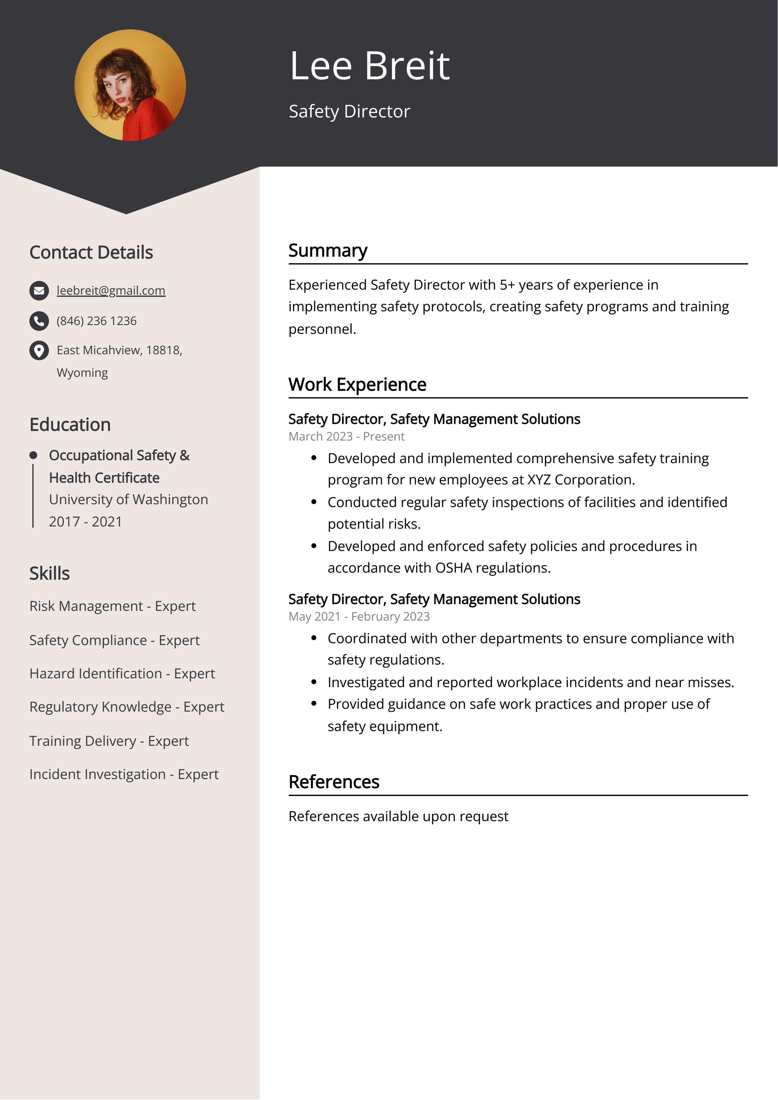 Safety Director Resume Example