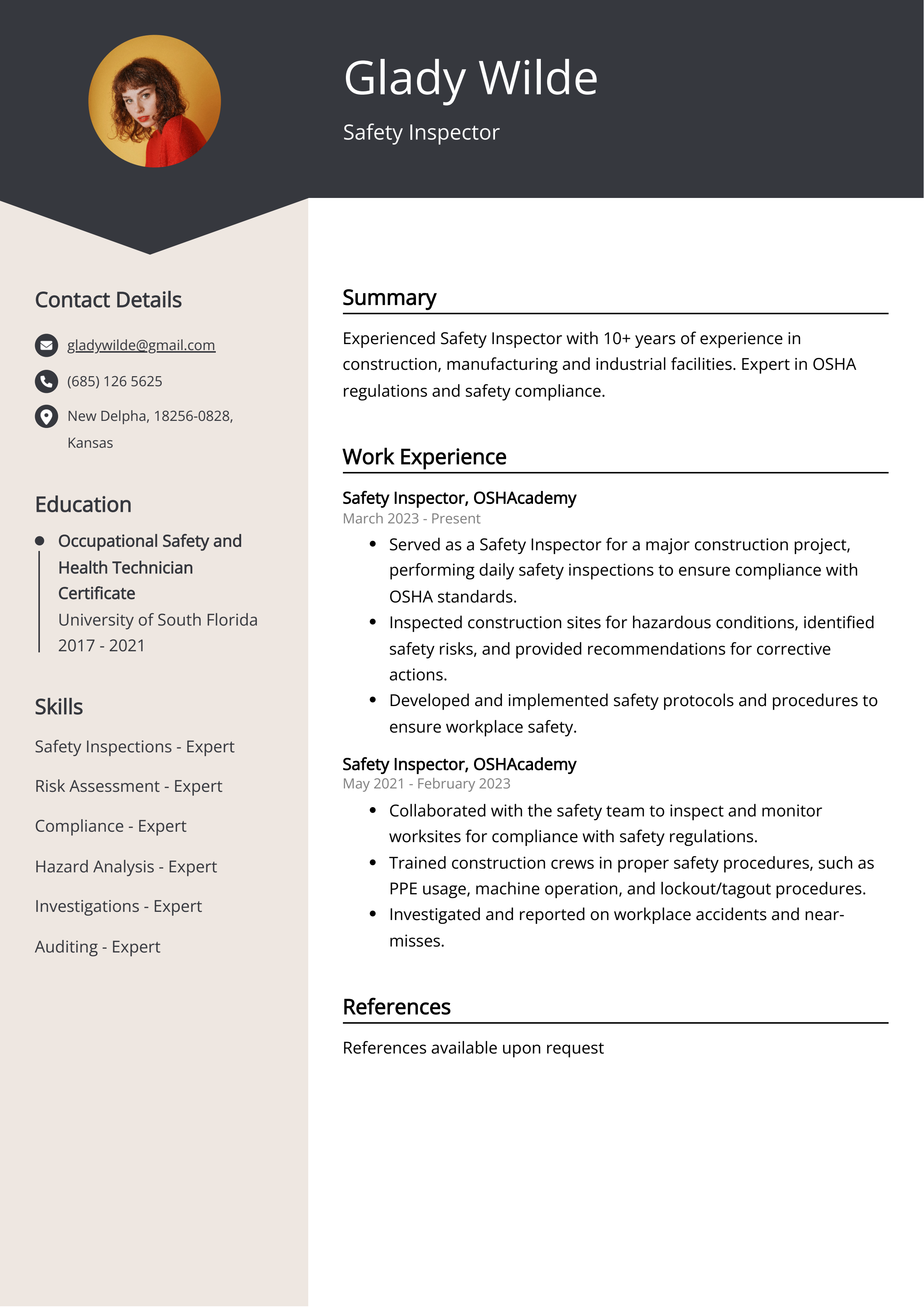 Safety Inspector Resume Example
