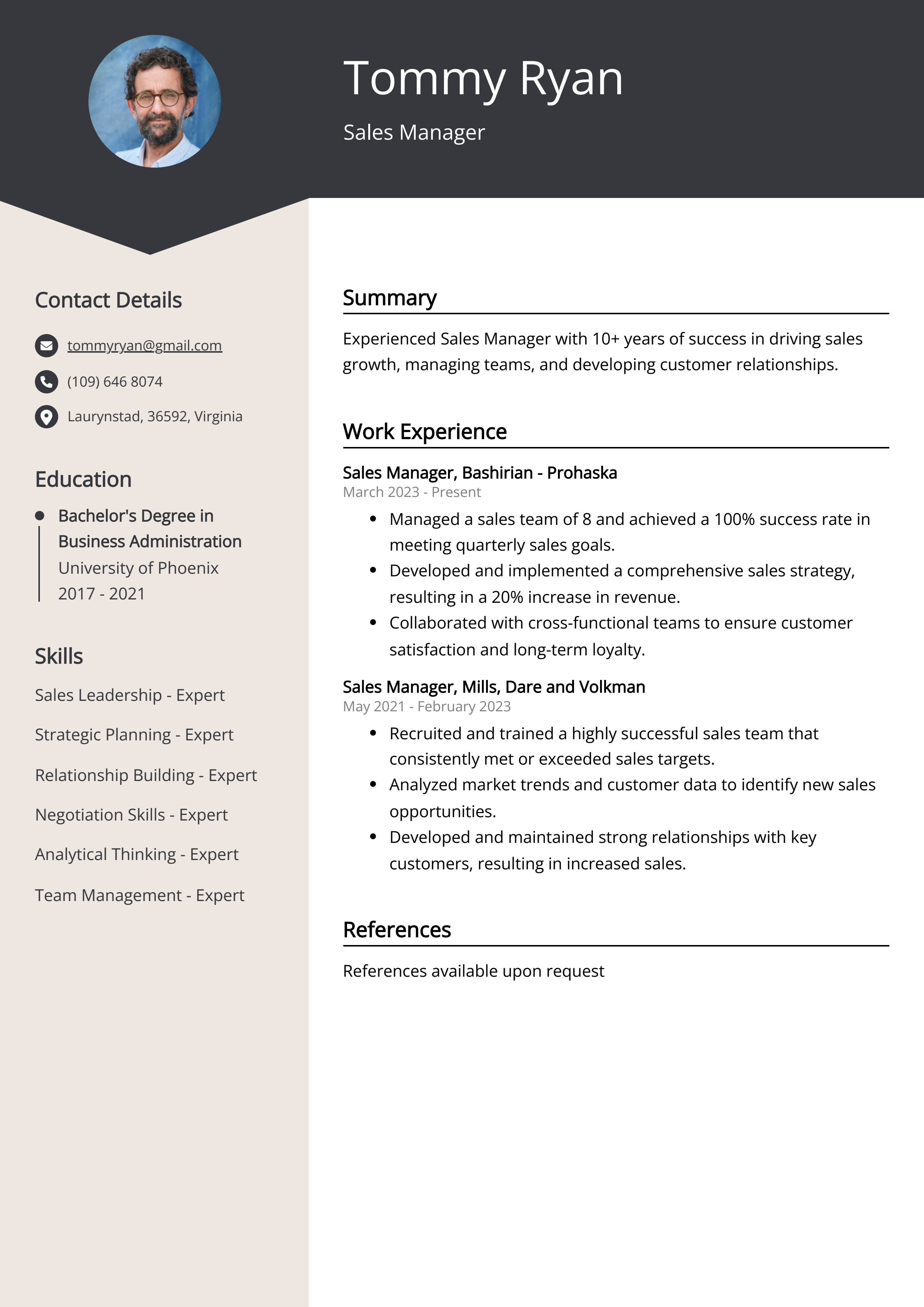 Experienced Sales Manager Resume Example