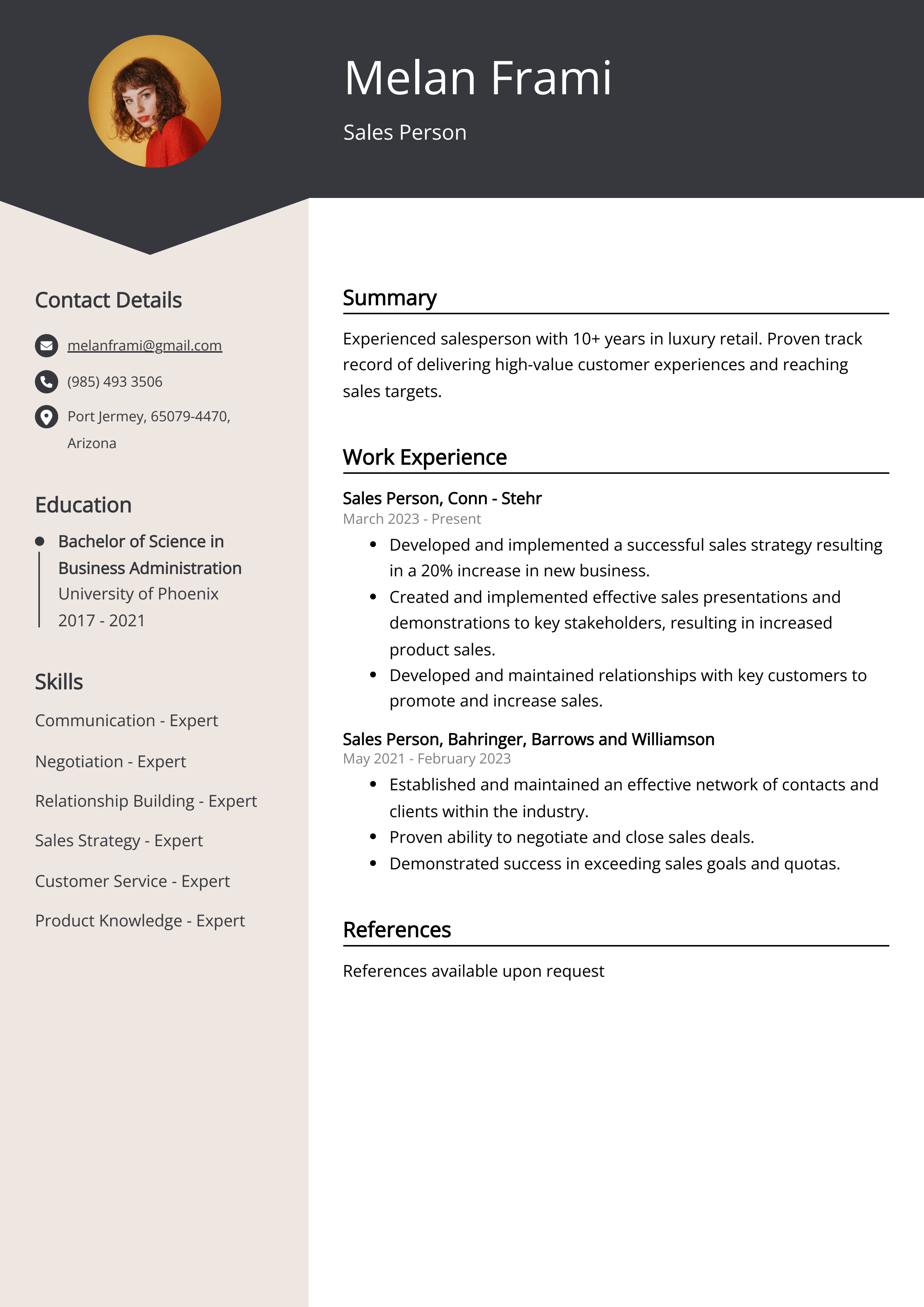 Sales Person Resume Example
