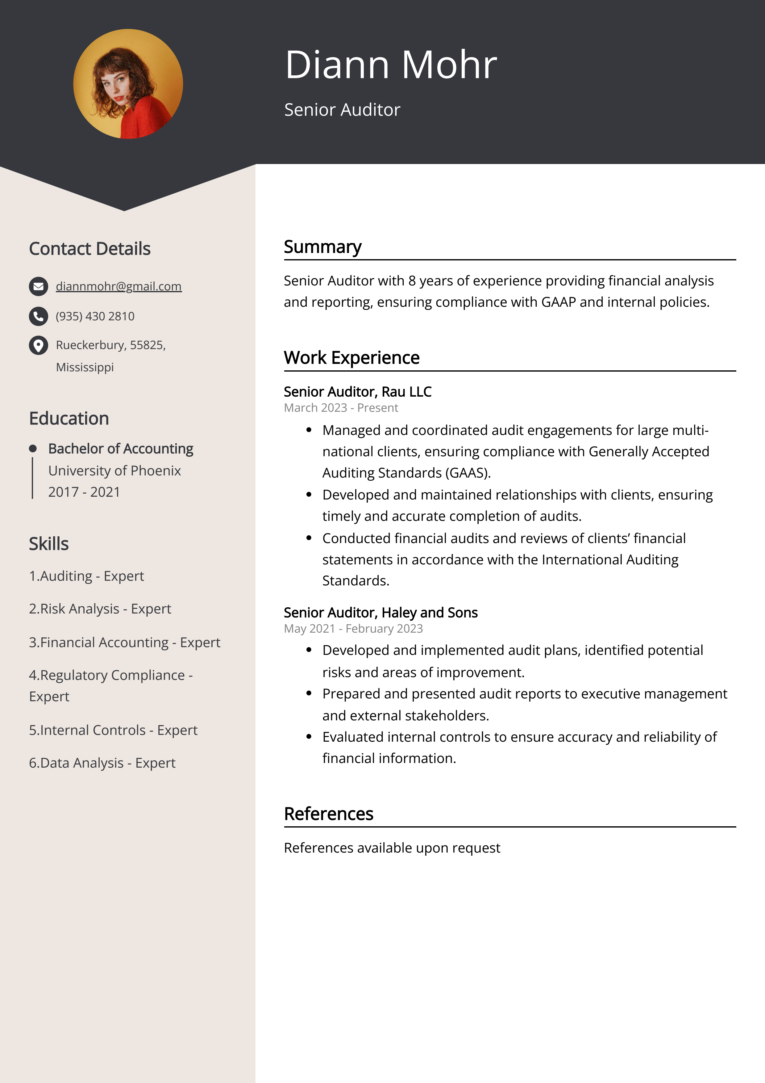 Senior Auditor Resume Example