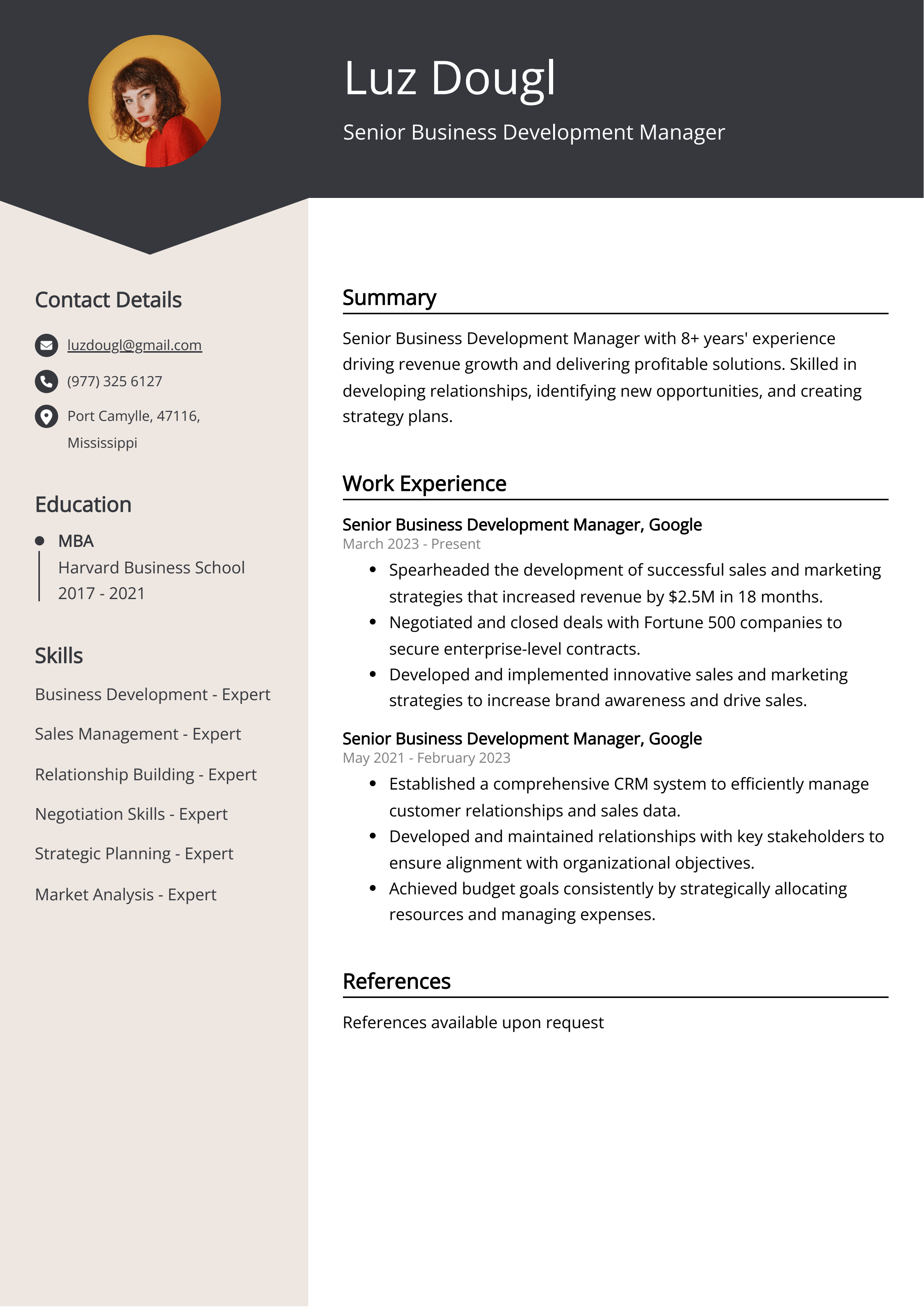 Senior Business Development Manager Resume Example