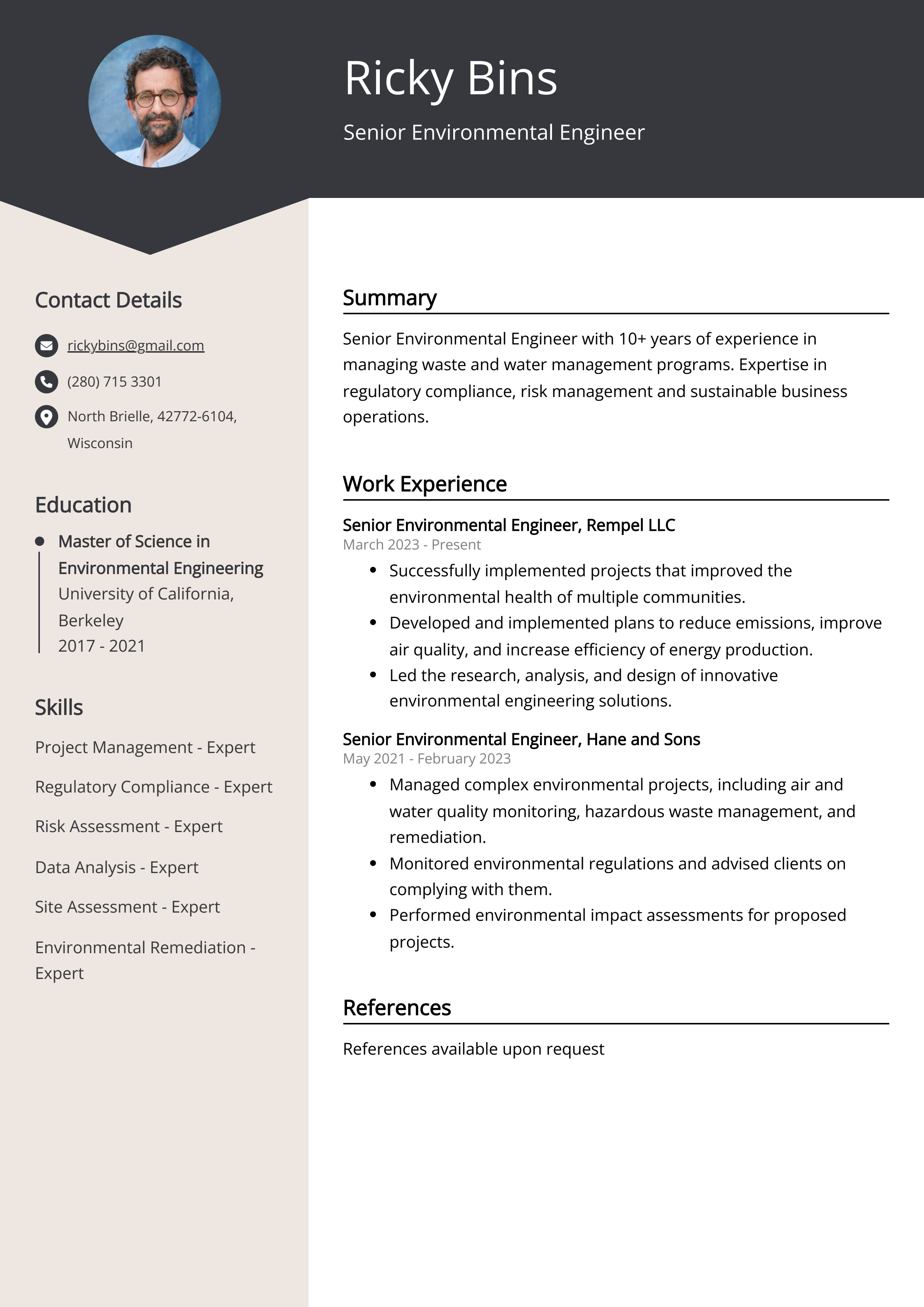 Senior Environmental Engineer Resume Example