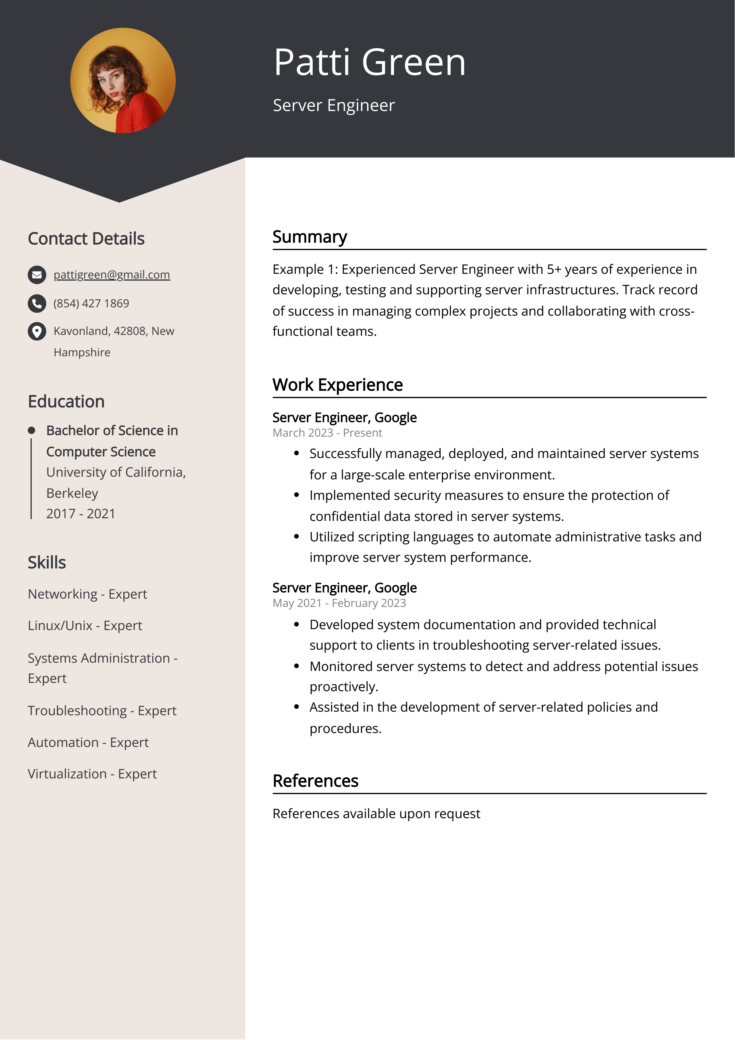 Server Engineer Resume Example