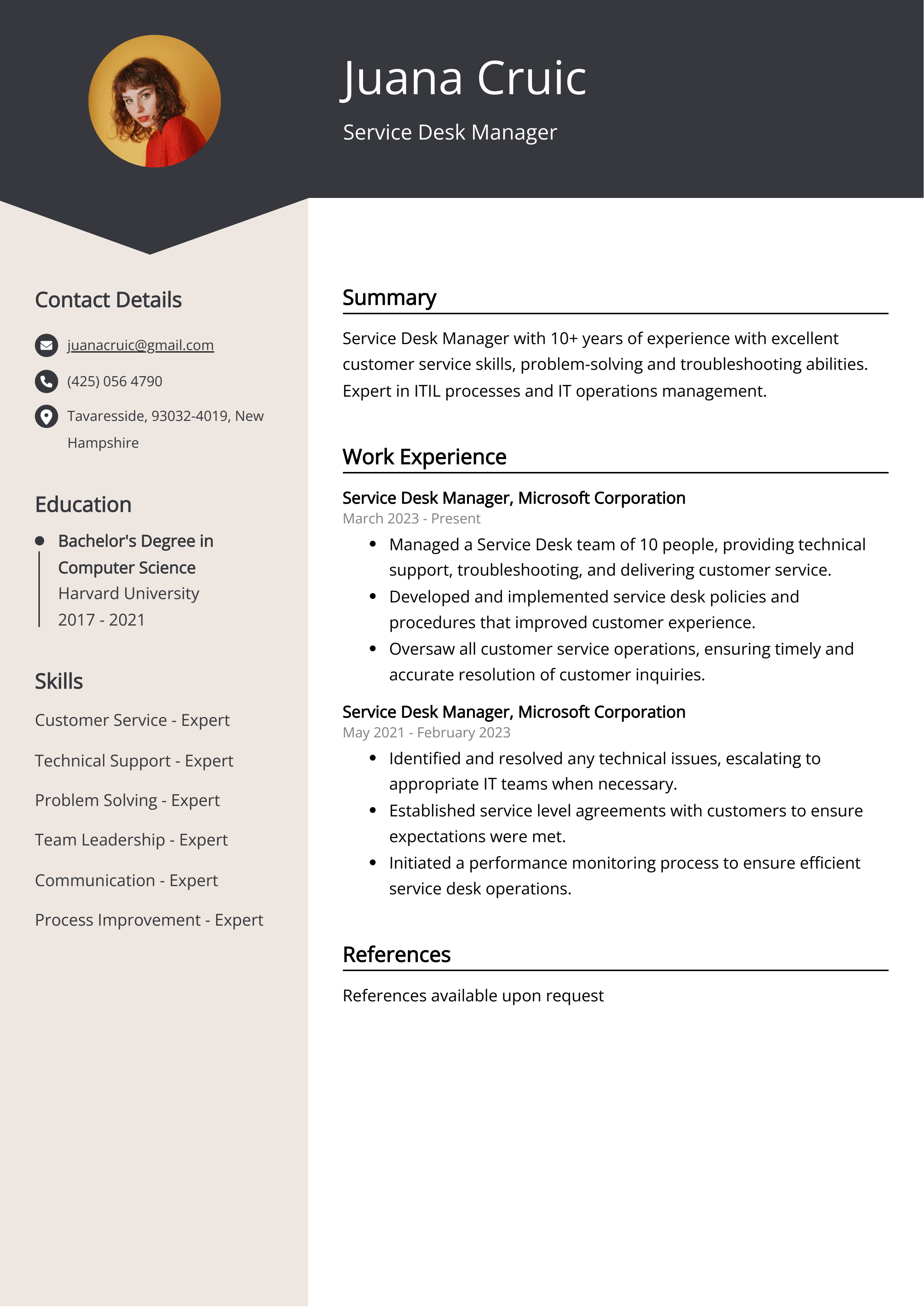 Service Desk Manager Resume Example