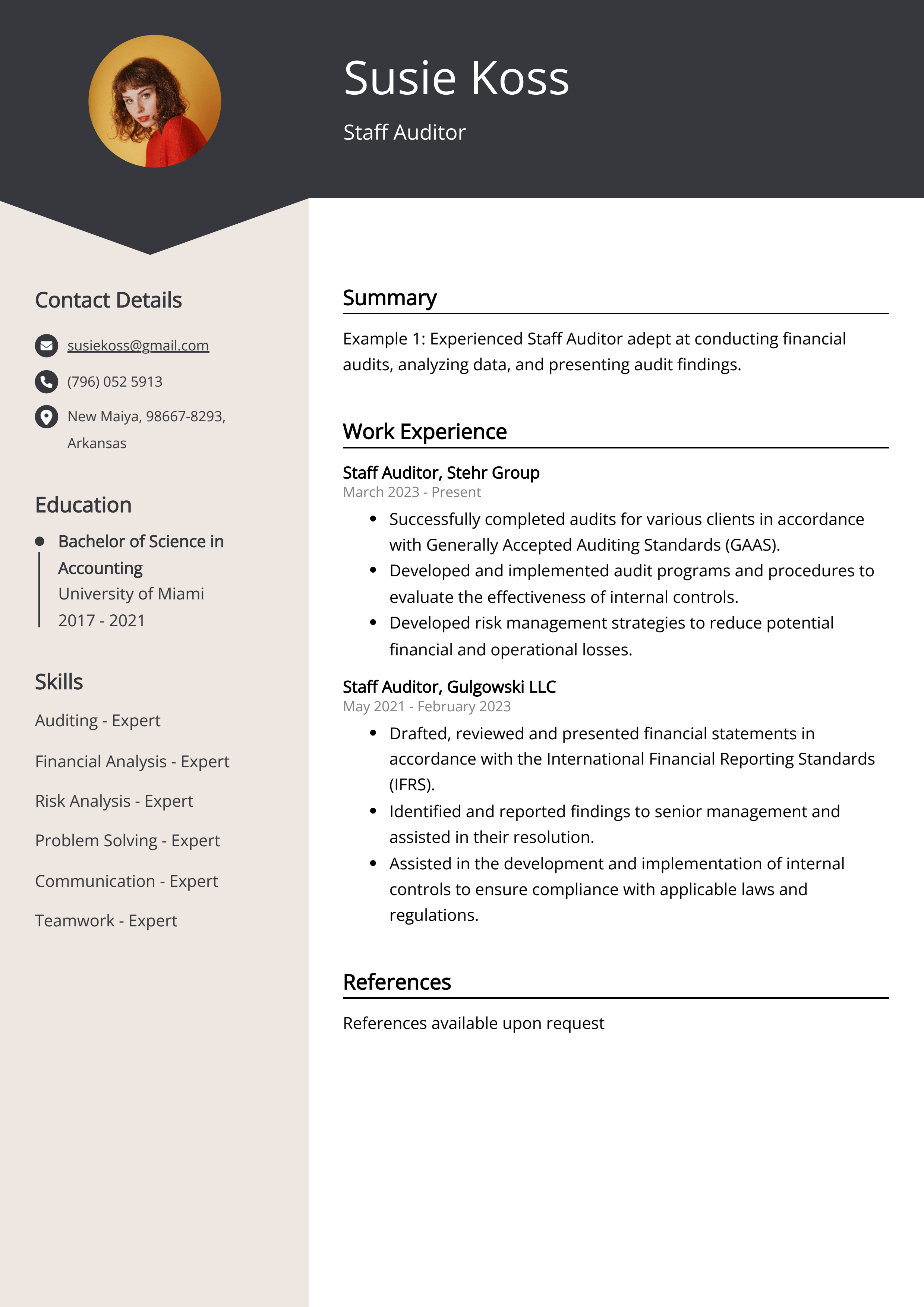 Staff Auditor Resume Example