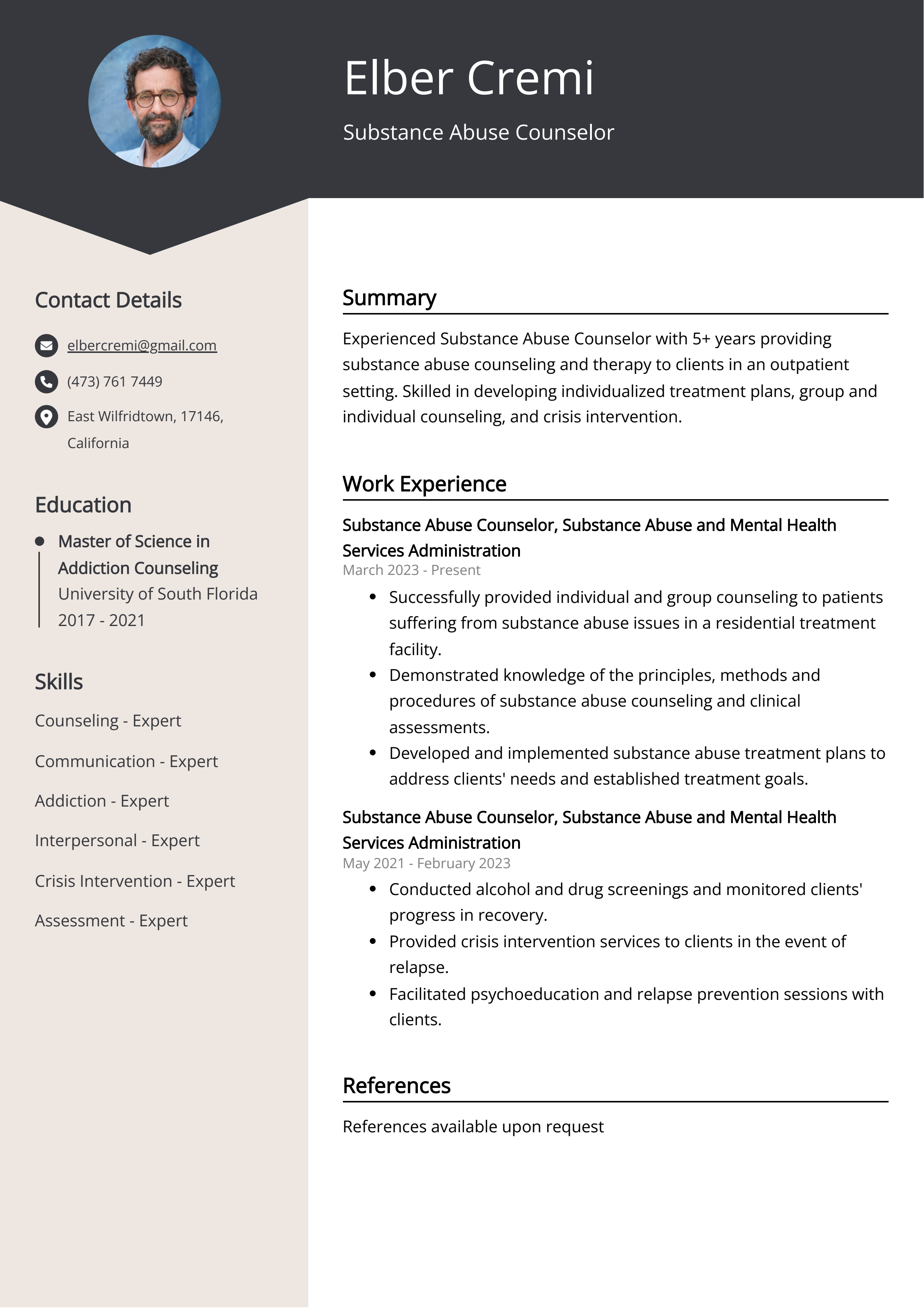 Substance Abuse Counselor Resume Example