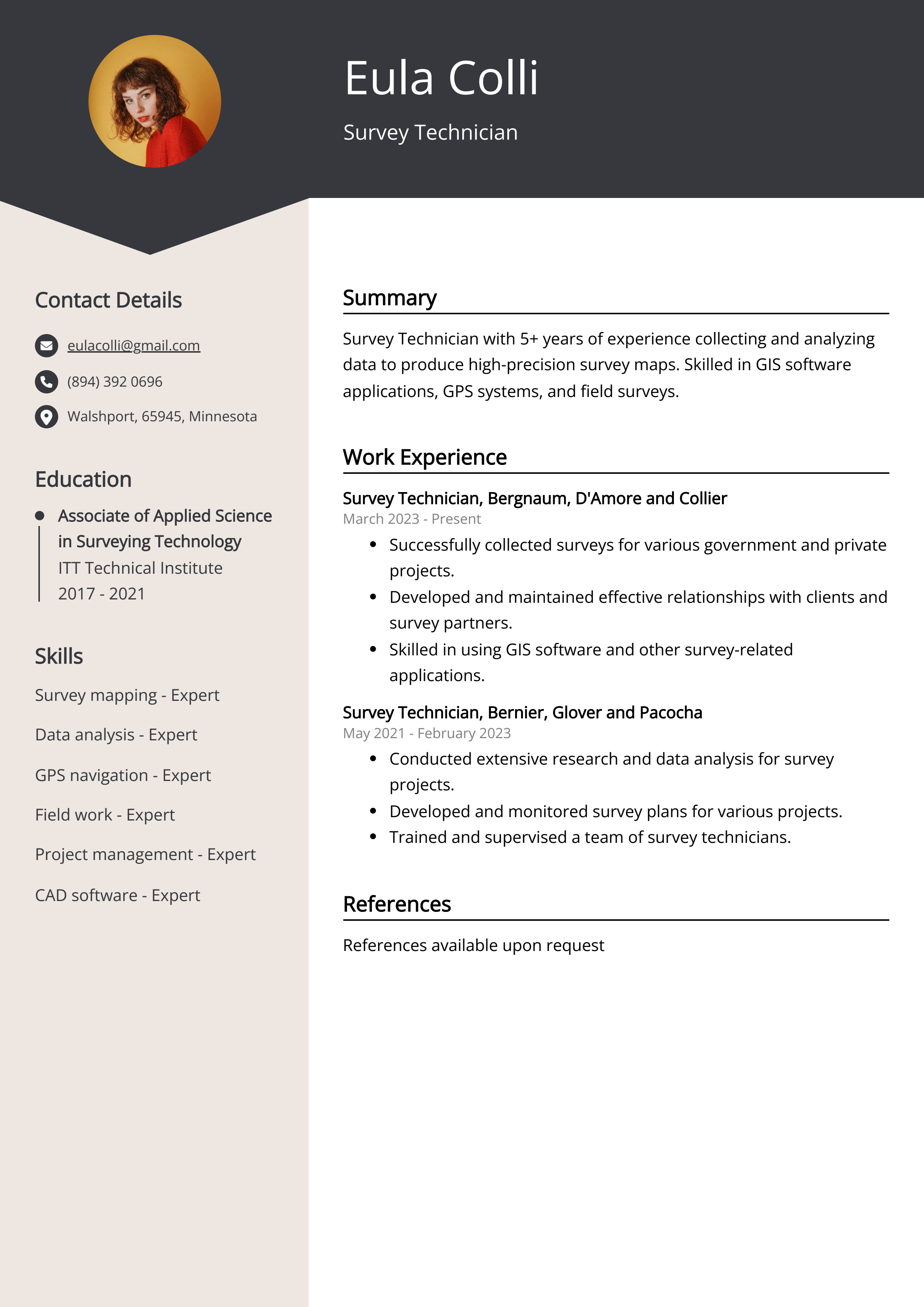 Survey Technician Resume Example