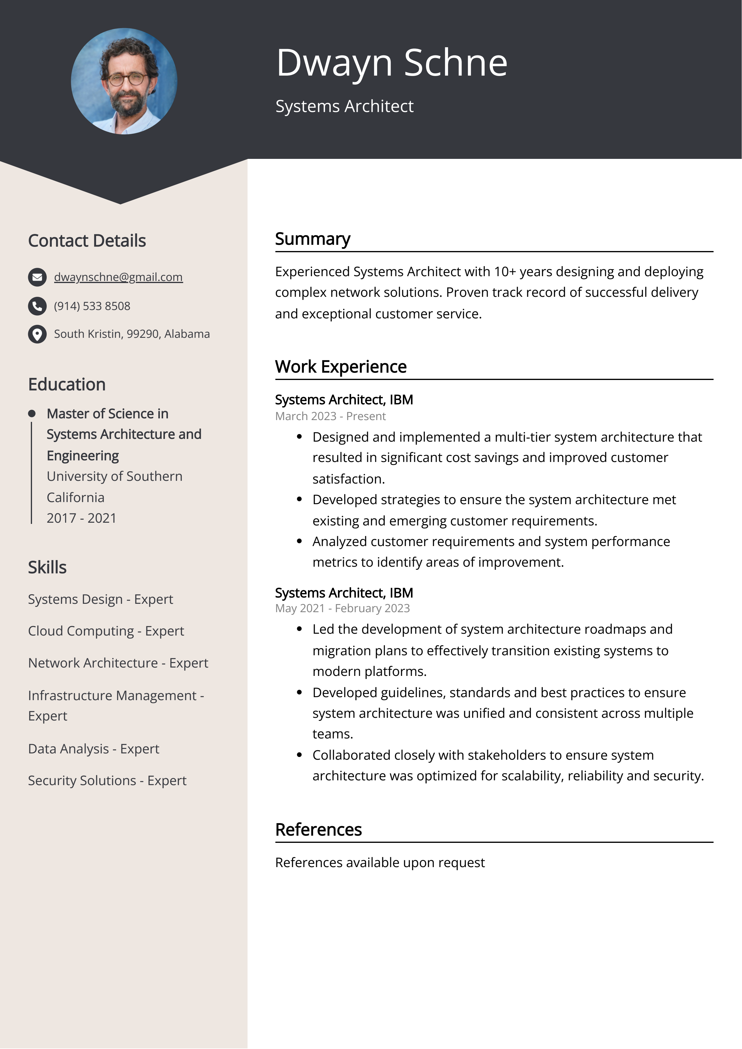 Systems Architect Resume Example