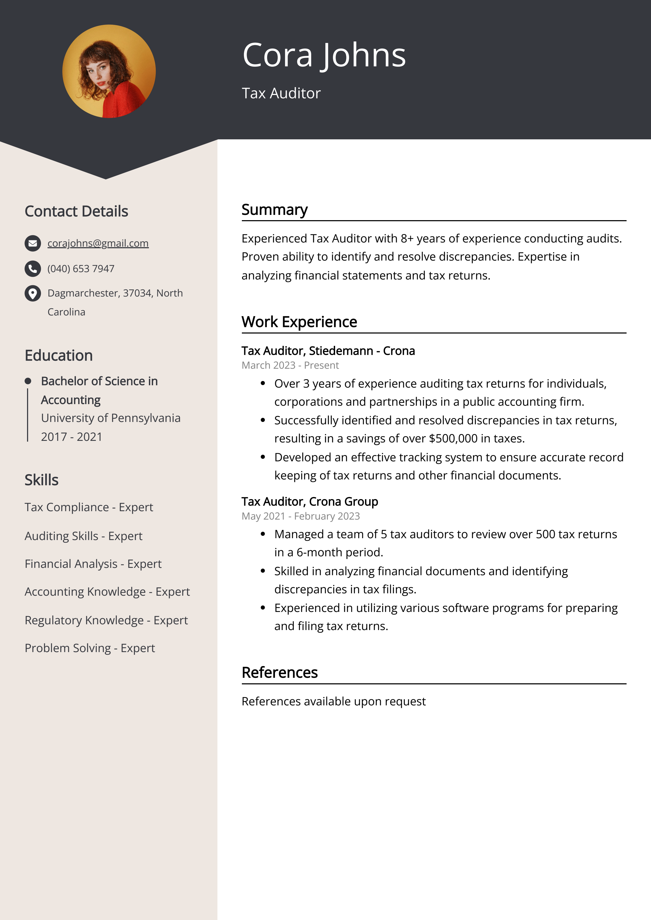 Tax Auditor Resume Examples Template 20 Tips 