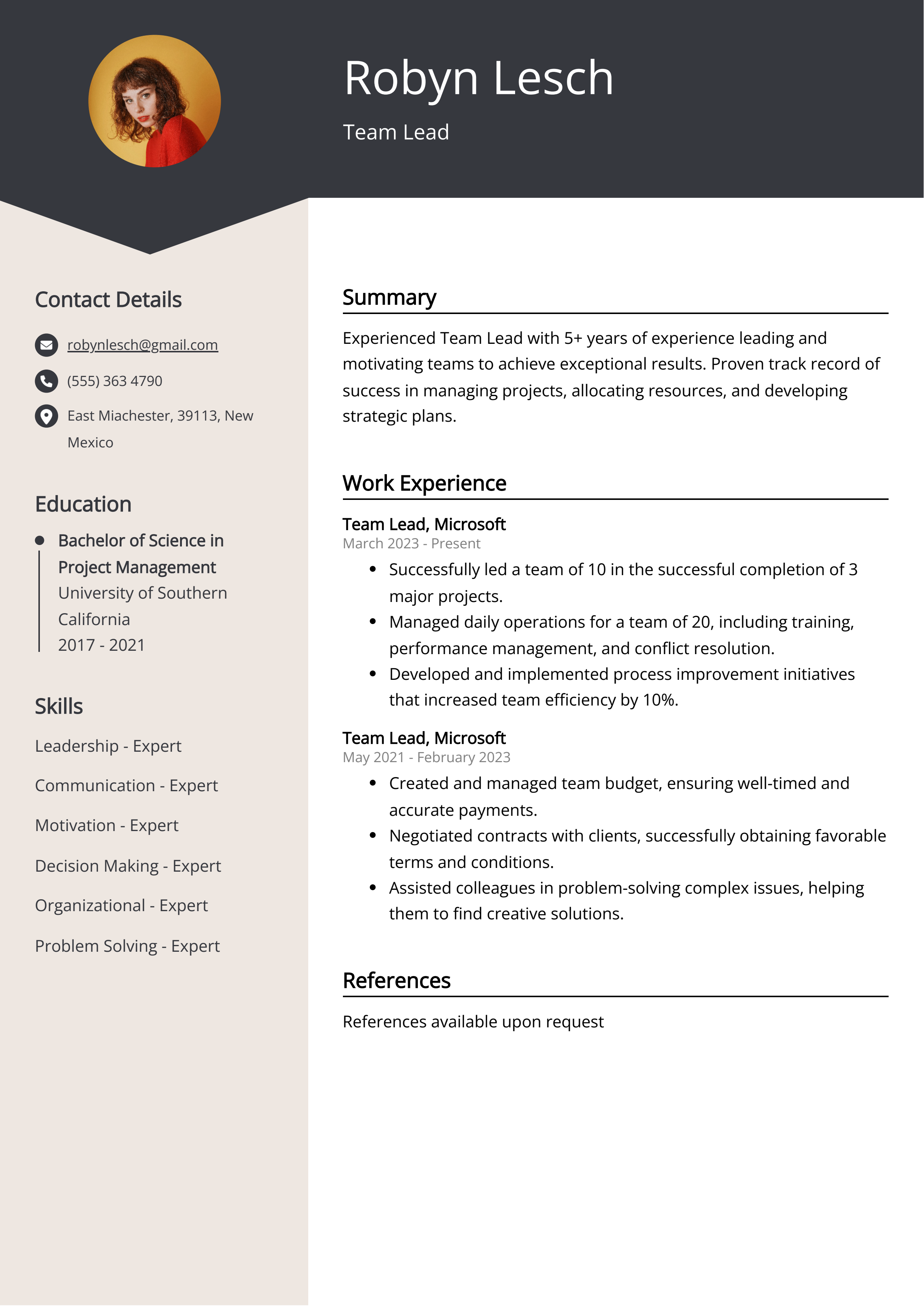 Team Lead Resume Example