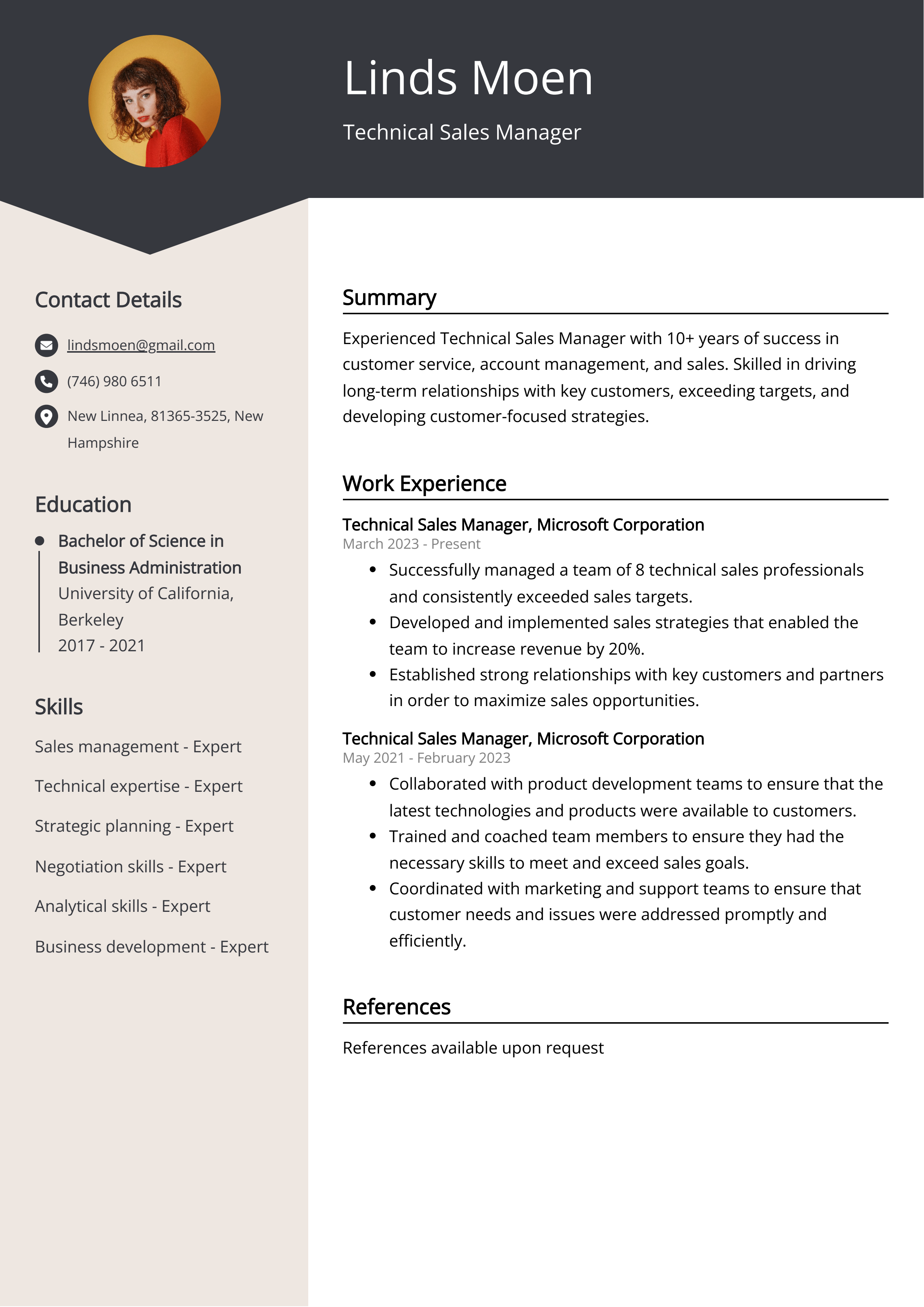 Technical Sales Manager Resume Example