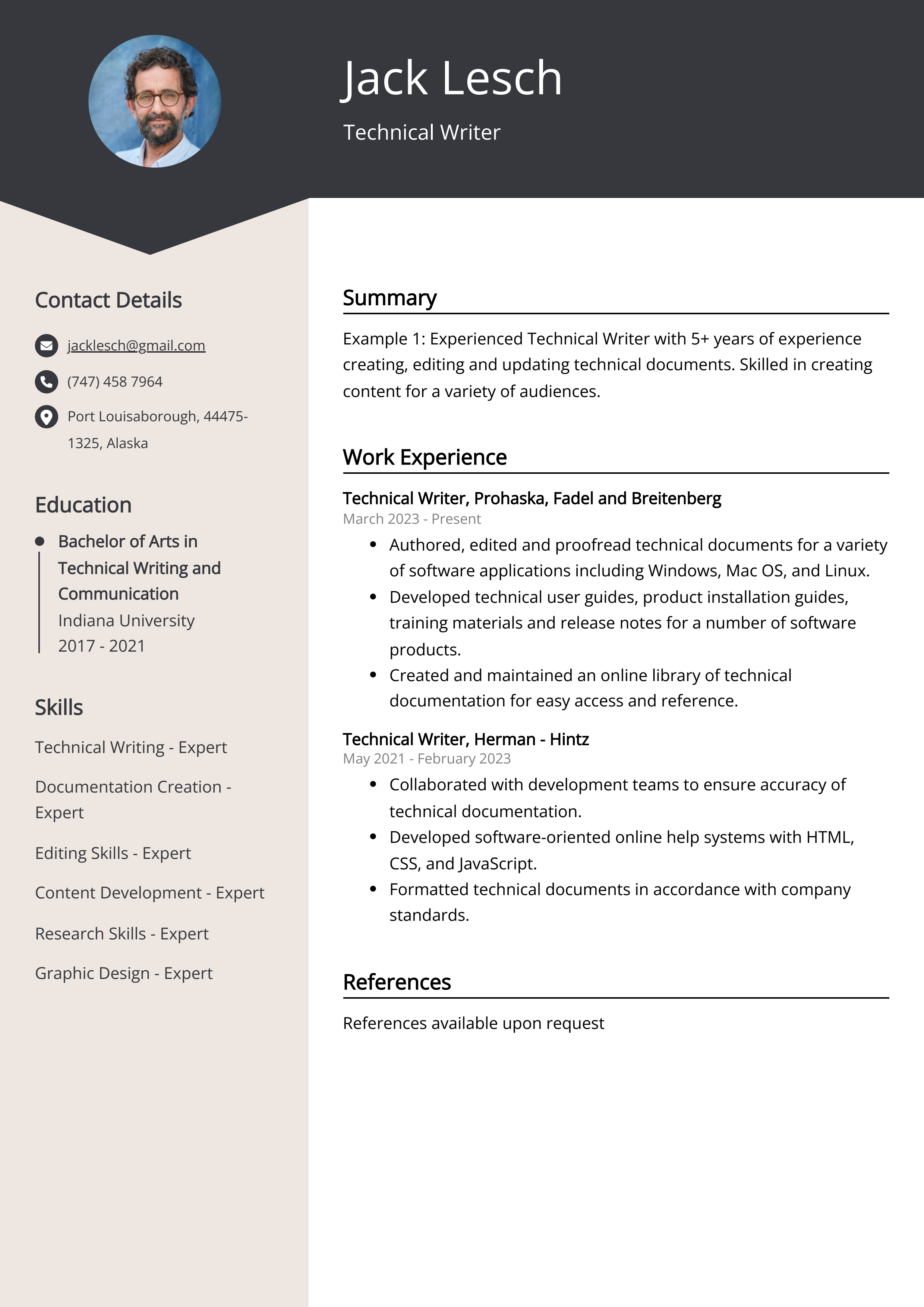 Technical Writer Resume Example